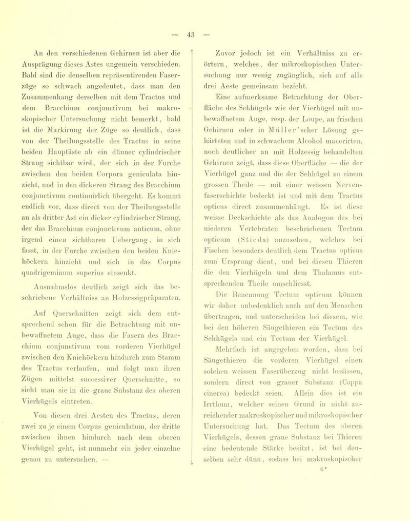 An den verschiedenen Gehirnen ist aber die Ausprägung dieses Astes ungemein verschieden. Bakl sind die denselben repräsentirenden Faser- züge so schwach angedeutet, dass man den Zusammenhang derselben mit dem Tractus und dem Bracchium conjunctivum bei makro- skopischer Untersuchung nicht bemerkt, bald ist die Markirung der Züge so deutlich, dass von der Theilungsstelle des Tractus in seine beiden Hauptäste ab ein dünner cylindrischer Strang sichtbar wird, der sich in der Furche zwischen den beiden Corpora geniculata hin- zieht, und in den dickeren Strang des Bracchium conjunctivum continuirlich übergeht. Es kommt endlich vor, dass direct von der Theilungsstelle an als dritter Ast ein dicker cylindrischer Strang, der das Bracchium conjunctivum anticum, ohne irgend einen sichtbaren Uebergang, in sich fasst, in der Furche zwischen den beiden Knie- höckern hinzieht und sich in das Corpus quadrigeminum superius einsenkt. Ausnahmslos deutlich zeigt sich das be- schriebene Verhältniss an Holzessigpräparaten. Auf Querschnitten zeigt sich dem ent- sprechend schon für die Betrachtang mit un- bewaffnetem Auge, dass die Fasern des Brac- chium conjunctivum vom vorderen Vierhügel zwischen den Kniehöckern hindurch zum Stamm des Tractus verlaufen, und folgt man ihren Zügen mittelst successiver Querschnitte, so sieht man sie in die graue Substanz des oberen Vierhügels eintreten. Von diesen drei Aesten des Tractus, deren zwei zu je einem Corpus geniculatum, der dritte zwischen ihnen hindurch nach dem oberen Vierhügel geht, ist nunmehr ein jeder einzelne genau zu untersuchen. — Zuvor jedoch ist ein Verhältniss zu er- örtern , welches, der mikroskopischen Unter- suchung nur wenig zugänglich, sich auf alle drei Aeste gemeinsam bezieht. Eine aufmerksame Betrachtung der Ober- fläche des Sehhügels wie der Vierhügel mit un- bewaffnetem Auge, resp. der Loupe, an frischen Gehirnen oder in Müller' scher Lösung ge- härteten und in schwachem Alcohol macerirten, noch deutlicher an mit Holzessig behandelten Gehirnen zeigt, dass diese Oberfläche — die der Vierhügel ganz und die der Sehhügel zu einem grossen Theile — mit einer weissen Nerven- faserschichte bedeckt ist und mit dem Tractus opticus direct zusammenhängt. Es ist diese weisse Deckschichte als das Analogon des bei niederen Vertebraten beschriebenen Tectum opticum (Stieda) anzusehen, welches bei Fischen besonders deutlich dem Tractus opticus zum Ursprung dient, und bei diesen Thieren die den Vierhügeln und dem Thalamus ent- sprechenden Theile umschliesst. Die Benennung Tectum opticum können wir daher unbedenklich auch auf den Menschen übertragen, und unterscheiden bei diesem, wie bei den höheren Säugethieren ein Tectum des Sehhügels und ein Tectum der Vierhügel. Mehrfach ist angegeben worden, dass bei Säugethieren die vorderen Vierhügel einen solchen weissen Faserüberzug nicht besässen, sondern direct von grauer Substanz (Cajjpa cinerea) bedeckt seien. Allein dies ist ein Irrthum, welcher seinen Grund in nicht zu- reichender makroskopischer und mikroskopischer Untersuchung hat. Das Tectum des oberen Vierhügels, dessen graue Substanz bei Thieren eine bedeutende Stärke besitzt, ist bei den- selben sehr dünn, sodass bei makroskopischer G*