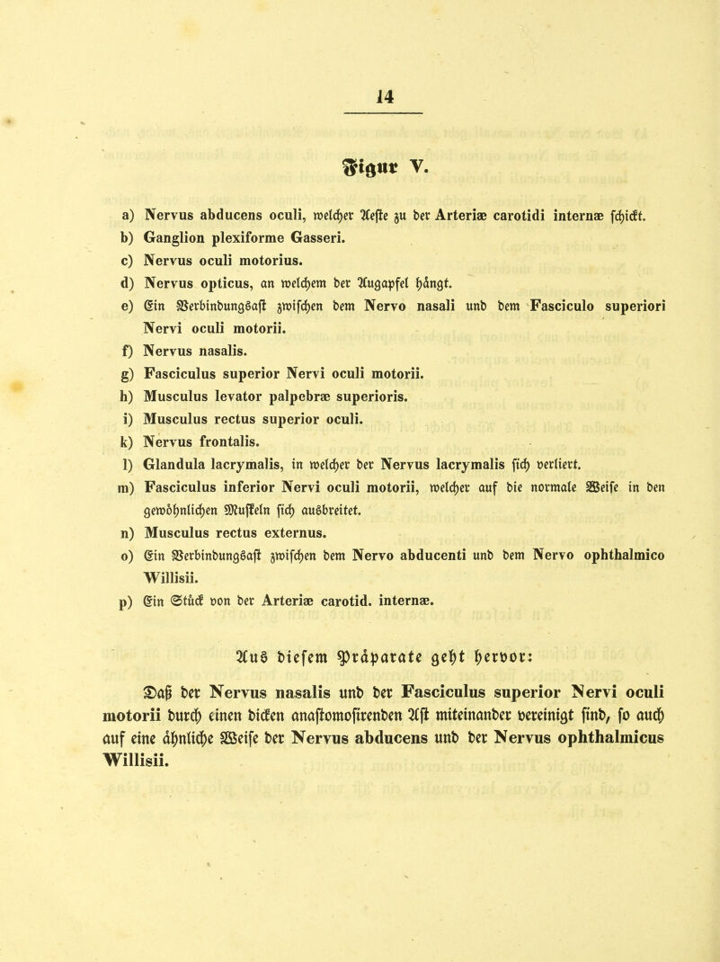 a) Nervus abducens oculi, mld)ev %e^e ju bev Arteriaß carotidi internae \ä)idt b) Ganglion plexiforme Gasseri. c) Nervus oculi motorius. d) Nervus opticus, an mlö)m ber ^Cugapfcl tjdngt e) (Sin S5erbinbun9§a|i jn)ifrf)cn bem Nervo nasali unb bem Fasciculo superiori Nervi oculi motorii. f) Nervus nasalis. g) Fasciculus superior Nervi oculi motorii. h) Musculus levator palpebrae superioris. i) Musculus rectus superior oculi. k) Nervus frontalis. 1) Glandula lacrymalis, in mlö)tx ber Nervus lacrymalis firf) »erliert. m) Fasciculus inferior Nervi oculi motorii, »etdjer auf bic normale Sßeife in ben gen)6J)nlid)en SO^uffetn fic^ ausbreitet, n) Musculus rectus externus. o) 6in SSerbinbungSaji 5ir»ifci()en bem Nervo abducenti unb bem Nervo ophthalmico Willisii. p) @in <Bt\xä üon ber Arteriae carotid. internaß. 2Cua biefem ^xäpaxatc QC^t ^cx\>ot: S)af ber Nervus nasalis unt» ber Fasciculus superior Nervi oculi motorii burcf) einen bi^^en anaftomoftrenben 3(fi mitetnanbei: mtini^t ftnb, fo aud^ auf eine d|)nli$e Sßeife ber Nervus abducens unb ber Nervus ophthalmicus Willisii.
