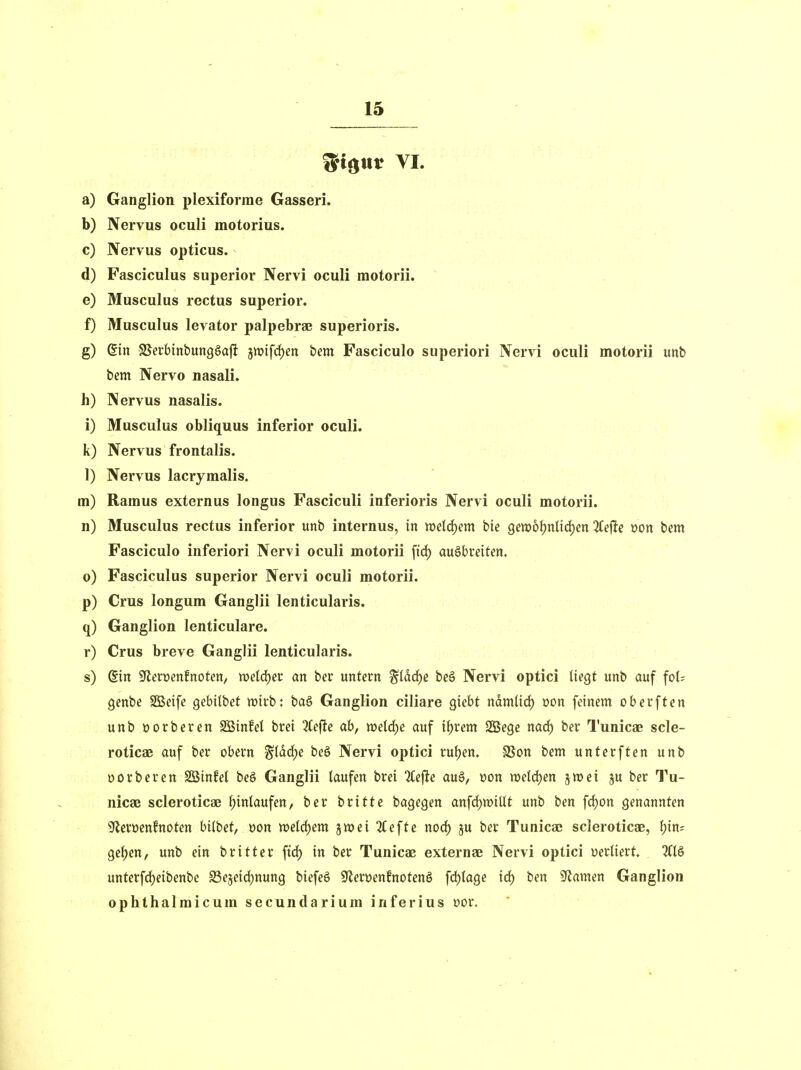 )^t$itr VI. a) Ganglion plexiforme Gasseri. b) Nervus oculi motorius. c) Nervus opticus. d) Fasciculus superior Nervi oculi raotorii. e) Musculus rectus superior. f) Musculus levator palpebrsB superioris. g) Sin 95eibinbun9§a|l 5Wtfrf)en hm Fasciculo superiori Nervi oculi motorii imb bem Nervo nasali. h) Nervus nasalis. i) Musculus obliquus inferior oculi. k) Nervus frontalis. 1) Nervus lacrymalis. m) Ramus externus longus Fasciculi inferioris Nervi oculi motorii. n) Musculus rectus inferior unb internus, in mld)m bie gen)6^nUd)en 2fejlc mn bem Fasciculo inferiori Nervi oculi motorii ftrf) ausbreiten, o) Fasciculus superior Nervi oculi motorii. p) Crus longum Ganglii lenticularis, q) Ganglion lenticulare. r) Crus breve Ganglii lenticularis. s) @in 9^ert>enfnoten, voel6)et an ber untevn ^Idc^e beö Nervi optici liegt unb auf fo(; genbe Sßeife gebilbet wirb: ba§ Ganglion ciliare giebt ndmlid) üon feinem obei'ften unb oorbcren SBinfet brei 3(efte ab, mid)e auf i^rem SSBege nad) ber Tunicae scle- roticae auf ber obern %iä<i)e beö Nervi optici ru()en. SSon bem unter ff en unb öorberen Söinfel be§ Ganglii taufen brei 2(efte au§, üon weldjen jwei ju ber Tu- nicae scleroticae f)inlaufen, ber britte bagegen anfd)n)iUt unb ben frf)on genannten Sfleroenfnoten bilbet, »on welchem jwei tiefte noc^ ju ber Tunicae scleroticae, f)in; gef)en, unb ein britter ftd) in ber Tunicae externae Nervi optici üerliert. unterfrf)eibenbe S3ejeid}nung biefe§ SflerüenfnotenS fcf)lage id) ben SfJamen Ganglion Ophthalmienm secundarium inferius üor.