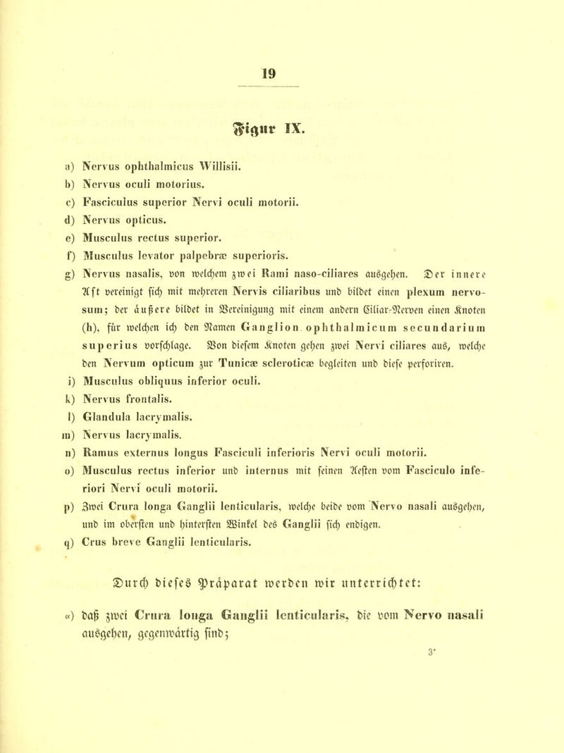 ^i^llt IX. a) Nervus ophthalmiciis Willisii. b) Nervus oculi motorius. c) Fasciculus superior Nervi oculi motorii. d) Nervus opticus. e) Musculus rectus superior. f) Musculus levator palpebrac superioris. g) Nervus nasalis, üon )x>eld)em jwei Rami naso-ciliares au§3el)en. S)er innere ^Cft Dereinigt ftd) mit nief)reren Nervis ciliaribus unb bilbet einen plexum nervo- sum; ber dupere bilbet in ^Bereinigung mit einem anbern Siliarr^Rerüen einen Änoten (h), für weld)en id) ben Spanien Ganglion ophthalmicum secundarium superius t>orfd)(age. SSon biefem knoten gei;en jmei Nervi ciliares au§, welche ben Nervuin opticum jur Tunicae scleroticae begleiten unb biefe perforiren. i) Musculus obliquus inferior oculi. k) Nervus frontalis. 1) Glandula lacrymalis. ra) Nervus lacrymalis. n) Ramus externus longus Fasciculi inferioris Nervi oculi motorii. o) Musculus rectus inferior unb internus mit feinen ^feften yom Fasciculo infe- riori Nervi ocuJi motorii. p) 3wei Crura longa Ganglii lenticularis, weld)e beibe vom Nervo nasali au§ge{;en, unb im oberjlcn unb l)interflen SÖinfel be§ Ganglii ftd) enbigen. q) Crus breve Ganglii lenticularis. £)urd) tiefet ^rdparat merbcn mir iinterrid^tct: «) ta^ imi Crura longa Ganglii lenticularis, tie l-om Nervo nasali 3
