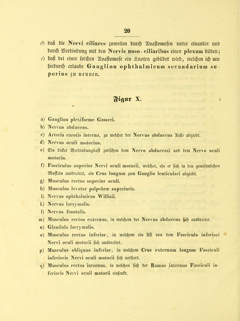 ß) bap t)ic Nervi ciliares juircüen tm6) 3(naftomofen unter cinantci: unb bui*$ S5erbinbung mit ben Nervis naso-ciliaribus einen plexum bilben^ y) bap bei einer folgen 3(naftomofe ein knoten Q^hUhct wixt), ml^cn ic^ mir l^ieburd^ erlaube Ganglion ophthalmicum secundarium su- perius ju nennen» a) Ganglion plexiforme Gasseri. b) Nervus abducens. c) Arteria carotis interna, ju welcher ber Nervus abducens 2Ce|!e abgiebt. d) Nervus oculi motorius. e) gin bieder SSerbtnbungSajl: 5Wifcf)en bem Nervo abducenti unb bem Nervo oculi motorio. f) Fasciculus superior Nervi oculi motorii, mlä)iv, ei)e er firf) in ben getüotjntidjen 9}?uffcln augbreitet, ein Crus longum jum Ganglio lenticulari abmüht g) Musculus rectus superior oculi. h) Musculus levator palpebrae superioris. i) Nervus ophthalmicus Willisii. k) Nervus lacryraalis. 1) Nervus frontalis. m) Musculus rectus externus, in welchem bei* Nervus abducens \iä) au^hteiUt, n) Glandula lacrymalis. o) Musculus rectus inferior, in wdä)m ein 3Cfi V)on bem Fasciculo inferiori Nervi oculi motorii ftrf) augbreitet. p) Musculus obliquus inferior, in weld)em Crus externum longum Fasciculi inferioris Nervi oculi motorii fid) üerliert. q) Musculus rectus internus, in weldjen ftrf) ber Ramus internus Fasciculi in- ferioris Nervi oculi motorii einfenft.