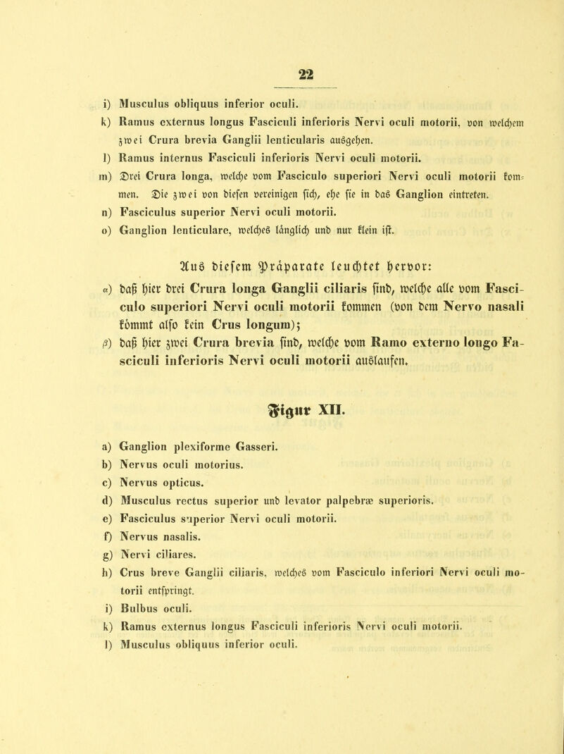 i) Musculus obliquus inferior oculi. k) Ramus cxternus longus Fasciculi inferioris Nervi oculi motorii, üon weld)em 3n>ei Crura brevia Ganglii lenticularis au§9et)en, 1) Ramus internus Fasciculi inferioris Nervi oculi motorii. m) Sirei Crura longa, weldje t>om Fasciculo superiori Nervi oculi motorii Um- mm, 2)ie gwei üon tiefen vereinigen firf), e^e ftc in baö Ganglion eintreten, n) Fasciculus superior Nervi oculi motorii. 0) Ganglion lenticulare, wetd)eö Idnglicf) unb nur flein ijit. 3(u§ btefem Präparate UMd)tct ^er»or: «) ba§ ^)kt brei Crura longa Ganglii ciliaris ftnt>, ml^c aUe v>om Fasci- culo superiori Nervi oculi motorii fommen (t)on t>m Nervo nasali fbmmt alfo hin Crus longum)^ /?) tap t)ier gn)ci Crura brevia finb, n)c{d)e \)om Ramo externo longo Fa- sciculi inferioris Nervi oculi motorii auslaufen» ^i^m XII. a) Ganglion plexiforme Gasseri. b) Nervus oculi motorius. c) Nervus opticus. d) Musculus rectus superior unb levator palpebras superioris. e) Fasciculus superior Nervi oculi motorii. f) Nervus nasalis. g) Nervi ciliares. h) Crus breve Ganglii ciliaris, weld)e§ üom Fasciculo inferiori Nervi oculi mo- torii entfpringt 1) Bulbus oculi. k) Ramus externus longus Fasciculi inferioris Nervi oculi motorii. 1) Musculus obliquus inferior oculi.