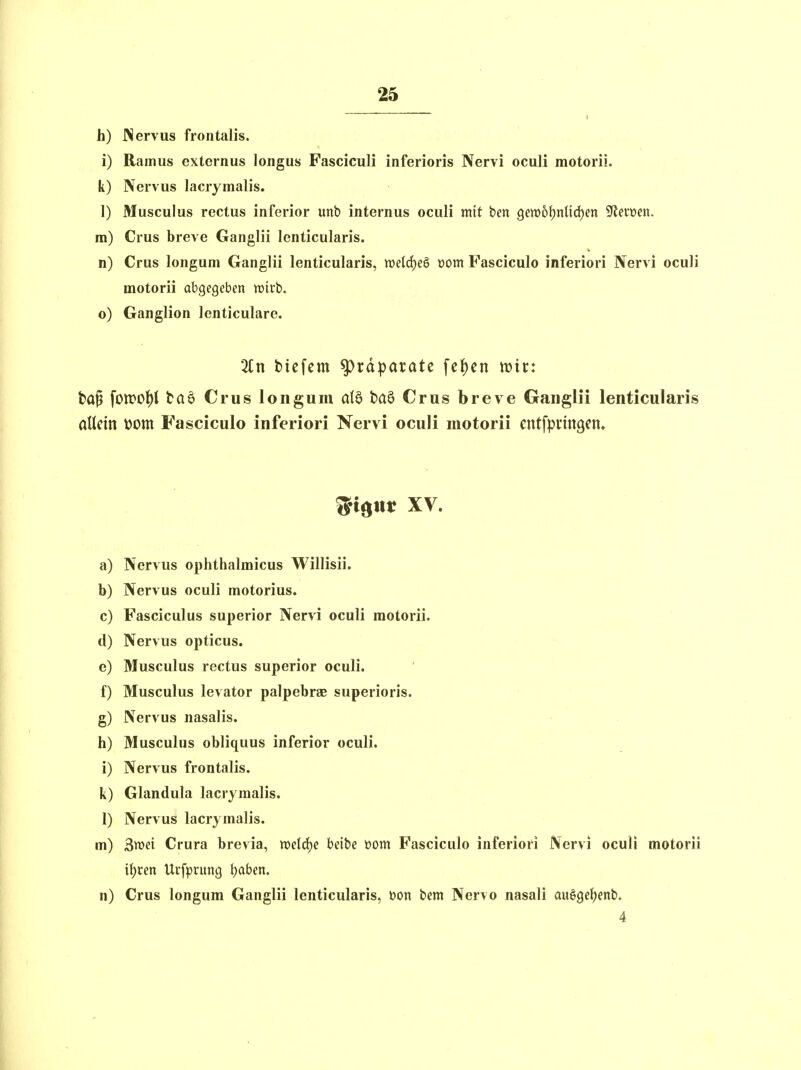h) INervus frontalis. i) Ramus externus longus Fasciculi inferioris Nervi oculi motorii. k) Nervus lacrymalis. 1) Musculus rectus inferior unb internus oculi mit ben 9ew6f)nlid)en S^ecüen. ra) Crus breve Ganglii lenticularis. n) Crus longum Ganglii lenticularis, welc^eö üom Fasciculo inferiori Nervi oculi motorii abgegeben wirb, o) Ganglion lenticulare. %n tiefem Präparate feJ)en mir: tap fon>oi)l taö Crus longum baö Crus breve Ganglii lenticularis alkin »om Fasciculo inferiori Nervi oculi motorii entfpiiitgen» ^i^Mt XV. a) Nervus ophthalmicus Willisii. 1>) Nervus oculi motorius. c) Fasciculus superior Nervi oculi motorii. d) Nervus opticus. e) Musculus rectus superior oculi. f) Musculus levator palpebrae superioris. s) Nervus nasalis. h) Musculus obliquus inferior oculi. i) Nervus frontalis. k) Glandula lacrymalis. 1) Nervus lacrymalis. m) 3tt)ei Crura brevia, weld^e beibe üom Fasciculo inferiori Nervi oculi motorii i\)xm Urf^jrung ()aben. n) Crus longum Ganglii lenticularis, t>on bem Nervo nasali auSge^enb.
