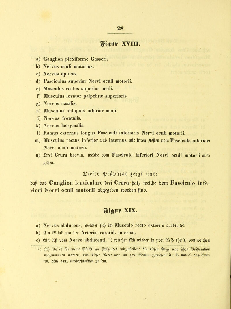 ^i^nt XVIII. a) Ganglion plexiforme Gasseri. b) Nervus oculi motorius. c) Nervus opticus. d) Fasciculus superior Nervi oculi motorii. e) Musculus rectus superior oculi. f) Musculus levator palpebrae superioris g) Nervus nasalis. h) Musculus obliquus inferior oculi. i) Nervus frontalis, k) Nervus lacrymalis. 1) Ramus externus longus Fasciculi inferioris Nervi oculi motorii. m) Musculus rectus inferior unb internus mit if)i:en %e\ten üom Fasciculo inferiori Nervi oculi motorii. n) £)rei Crura brevia, mld)e üom Fasciculo inferiori Nervi oculi motorii au§= ^tefc§ ^täpatat geigt unö: ha^ baö Ganglion lenticulare hvci Crura f)at, mid)c \)om Fasciculo infe- riori Nervi oculi motorii abgegeben tüorben ftnb. ^i^nv XIX. a) Nervus abducens, tt)eld)er ftd) im Musculo recto extcrno ausbreitet. b) ßtn @tü(f t>on ber Arteriae carotid. internae. c) Qin r>om Nervo abducenti, ') ml<i)ev ftcf) wteber in jmei ^efte t^)dit, öon »eldjen 1) ^cf^ e§ für meine ^fU6t an ^olgmbcä mitiuttjcUm: 2tit bi'cfem SJugc war f^on ^ßräparation ücrgcncinmcn Würben, itnb btefer Sterbe tvat an jiuet ©teüen (jn?i'f^§en Htr. h nnb c) angefc^nit? ten, cl;ne gan^ bnrd;gcfc^ntttcn ju fein.