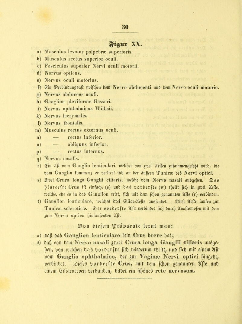 f^i^ttt XX. a) Musculus levator palpebraB superioris. b) Musculus rectus superior oculi. c) Fasckulus superior N^ervi oculi motorii. d) Nervus opticus. e) Nervus oculi motorius. f) (Ein SSerbinbünggafl 5tt)tfcf)en bem Nervo abducenti unb bem Nervo oculi raotorio. g) Nervus abdocens oculi. h) Ganglion plexiforme Gasseri. i) Nervus ophthalmicus Willisii. k) Nervus lacrymalis. 1) Nervus frontalis, m) Musculus rectus externus oculi. n) — rectus inferior, o) — obliquös inferior, p) — rectus internus, q) Nervus nasalis. r) ©in %\t öom Gaiiglio lenticulari, mid)ev üon jvoei 2(efien ^ufammengefelt wirb, hie üom Ganglio fommen-, er »erliert ftd) an ber dupern Tunica? be§ Nervi optici. s) 3wei Crura longa Ganglii ciliaris, mld)e Dom Nervo nasali auggefjen. 35 a§ i)interfte Crus ift einfarf), (s) unb bag üorberfte (w) ff)eilt ftd) in jwei %e^e, miä)e, et)e e§ in ba§ Ganglion tritf, fid) mit bem fd)on genannten 2ff!e (r) oerbinben. t) Ganglion lonticulare, »eld)e§ brei (SiUar:2(efüe auSfenbet. Siefe 2Cejle laufen jur Tunicaß scleroticee. ^er üovbevfte 2Cft »erbinbet fid) burd) 2Cna|lomofen mit bem jum Nervo optico {)inlaufenben Ttfi. S5on biefcm ^täpatatt ternt man: a) baf M Ganglion leiiticnlare fdn Crus breve l)at^ ß) la^ löon bem Nervo nasali ^mci Crura longa Ganglii ciliaris au^gc^ |)cn, ^on nje(d)en ta6 t>crberfte fid) mieberiim tljäit, unb ficl^ mit einem 3(ft tioxn Gaiigllo oplitlialmico, ber §ur Vagina Nervi optici |){ngel)t, veibinbet £)iefe6 t>orberftc Crus, mit bem fd()ün genannten 2if!c unb einem (5i(iarnevi?en tjerbunben, bilbet ein fcl;6neö rete nervosum.