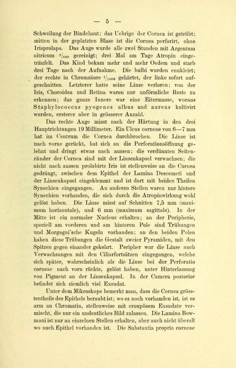 Schwellung der Bindehaut; das Uebrige der Cornea ist getrübt; mitten in der geplatzten Blase ist die Cornea perforirt, ohne Irisprolaps. Das Auge wurde alle zwei Stunden mit Argentum nitricum 1I600 gereinigt; drei Mal am Tage Atropin einge- träufelt. Das Kind bekam mehr und mehr Oedem und starb drei Tage nach der Aufnahme. Die bulbi wurden enukleirt; der rechte in Chromsäure ?/i00o gehärtet, der linke sofort auf- geschnitten. Letzterer hatte seine Linse verloren; von der Iris, Choroidea und Retina waren nur unförmliche Beste zu erkennen; das ganze Innere war eine Eitermasse, woraus Staphylococcus pyogenes albus und aureus kultivirt wurden, ersterer aber in grösserer Anzahl. Das rechte Auge misst nach der Härtung in den drei Hauptrichtungen 19 Millimeter. Ein Ulcus corneae von 6—7 mm hat im Centrum die Cornea durchbrochen. Die Linse ist nach vorne gerückt, hat sich an die Perforationsöffnung ge- lehnt und dringt etwas nach aussen; die verdünnten Seiten- ränder der Cornea sind mit der Linsenkapsel verwachsen; die nicht nach aussen prolabirte Iris ist stellenweise an die Cornea gedrängt, zwischen dem Epithel der Lamina Descemeti und der Linsenkapsel eingeklemmt und ist dort mit beiden Theilen Synechien eingegangen. An anderen Stellen waren nur hintere Synechien vorhanden, die sich durch die Atropinwirkung wohl gelöst haben. Die Linse misst auf Schnitten 7,5 mm (maxi- mum horizontale), und 6 mm (maximum sagittale). In der Mitte ist ein normaler Nucleus erhalten; an der Peripherie, speciell am vorderen und am hinteren Pole sind Trübungen und Morgagni'sche Kugeln vorhanden; an den beiden Polen haben diese Trübungen die Gestalt zweier Pyramiden, mit den Spitzen gegen einander gekehrt. Peripher war die Linse auch Verwachsungen mit den Ciliarfortsätzen eingegangen, welche sich später, wahrscheinlich als die Linse bei der Perforatio corneae nach vorn rückte, gelöst haben, unter Hinterlassung von Pigment an der Linsenkapsel. In der Camera posterior befindet sich ziemlich viel Exsudat. Unter dem Mikroskope bemerkt man, dass die Cornea gröss- tenteils des Epithels beraubt ist; wo es noch vorhanden ist, ist es arm an Chromatin, stellenweise mit croupösem Exsudate ver- mischt, die nur ein undeutliches Bild zulassen. Die Lamina Bow- mani ist nur an einzelnen Stellen erhalten, aber auch nicht überall wo noch Epithel vorhanden ist. Die Substantia propria corneae