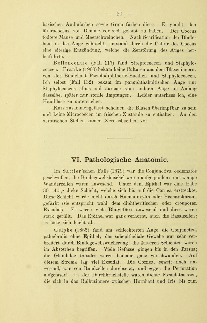 basischen Anilinfarben sowie Gram färben diese. Er glaubt, den Micrococcus von Demme vor sich gehabt zu haben. Der Coccus, tödtete Mäuse und Meerschweinchen. Nach Scarincation der Binde- haut in das Auge gebracht, entstand durch die Cultur des Coccus eine eiterige Entzündung, welche die Zerstörung des Auges her- beiführte. Bellencontre (Fall 117) fand Streptococcen und Staphylo- coccen. Franke (1900) bekam keine Culturen aus dem Blaseninnern; von der Bindehaut Pseudodiphtherie-Bacillen und Staphylococcen. Ich selbst (Fall 132) bekam im panophthalmitischen Auge nur Staphylococcus albus und aureus; vom anderen Auge im Anfang dasselbe, später nur sterile Impfungen. Leider unterliess ich, eine Hautblase zu untersuchen. Kurz zusammengefasst scheinen die Blasen überimpfbar zu sein und keine Micrococcen im frischen Zustande zu enthalten. An den xerotischen Stellen kamen Xerosisbacillen vor. VI. Pathologische Anatomie. Im Sattler'schen Falle (1879) war die Conjunctiva oedematös geschwollen, die Bindegewebsbüschel waren aufgequollen; nur wenige Wanderzellen waren anwesend. Unter dem Epithel war eine trübe 30—40 /j. dicke Schicht, welche sich bis auf die Cornea erstreckte. Diese Schicht wurde nicht durch Haematoxylin oder Bismarckbraun gefärbt (sie entspricht wohl dem diphtheritischen oder croupösen Exsudat). Es waren viele Blutgefässe anwesend und diese waren stark gefüllt. Das Epithel war ganz verhornt, auch die Basalzellen; es löste sich leicht ab. Gelpke (1885) fand am schlechtesten Auge die Conjunctiva palpebralis ohne Epithel; das subepitheliale Gewebe war sehr ver- breitert durch Bindegewebswucherung; die äusseren Schichten waren im Absterben begriffen. Viele Gefässe gingen bis in den Tarsus; die Glandulae tarsales waren beinahe ganz verschwunden. Auf diesem Stroma lag viel Exsudat. Die Cornea, soweit noch an- wesend, war von Rundzellen durchsetzt, und gegen die Perforation aufgefasert. In der Durchbruchstelle waren dichte Exsudatmassen, die sich in das Bulbusinnere zwischen Hornhaut und Iris bis zum