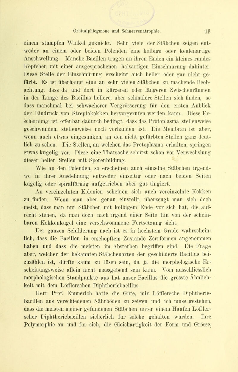 einem stumpfen Winkel geknickt. Sehr viele der Stäbchen zeigen ent- weder an einem oder beiden Polenden eine kolbige oder keulenartige Anschwellung. Manche Bacillen tragen an ihren Enden ein kleines rundes Köpfchen mit einer ausgesprochenen halsartigen Einschnürung dahinter. Diese Stelle der Einschnürung erscheint auch heller oder gar nicht ge- färbt. Es ist überhaupt eine an sehr vielen Stäbchen zu machende Beob- achtung, dass da und dort in kürzeren oder längeren Zwischenräumen in der Länge des Bacillus hellere, aber schmälere Stellen sich finden, so dass manchmal bei schwächerer Vergrösserung für den ersten Anblick der Eindruck von Streptokokken hervorgerufen werden kann. Diese Er- scheinung ist offenbar dadurch bedingt, dass das Protoplasma stellenweise geschwunden, stellenweise noch vorhanden ist. Die Membran ist aber, wenn auch etwas eingesunken, an den nicht gefärbten Stellen ganz deut- lich zu sehen. Die Stellen, an welchen das Protoplasma erhalten, springen etwas kugelig vor. Diese eine Thatsache schützt schon vor Verwechslung dieser hellen Stellen mit Sporenbildung. Wie an den Polenden, so erscheinen auch einzelne Stäbchen irgend- wo in ihrer Ausdehnung entweder einseitig oder nach beiden Seiten kugelig oder spiralförmig aufgetrieben aber gut tingiert. An vereinzeinten Kolonien scheinen sich auch vereinzeinte Kokken zu finden. Wenn man aber genau einstellt, überzeugt man sich doch meist, dass man nur Stäbchen mit kolbigem Ende vor sich hat, die auf- recht stehen, da man doch nach irgend einer Seite hin von der schein- baren Kokkenkugel eine verschwommene Fortsetzung sieht. Der ganzen Schilderung nach ist es in höchstem Grade wahrschein- lich, dass die Bacillen in erschöpftem Zustande Zerrformen angenommen haben und dass die meisten im Absterben begriffen sind. Die Frage aber, welcher der bekannten Stäbchenarten der geschilderte Bacillus bei- zuzählen ist, dürfte kaum zu lösen sein, da ja die morphologische Er- scheinungsweise allein nicht massgebend sein kann. Vom ausschliesslich morphologischen Standpunkte aus hat unser Bacillus die grösste Ähnlich- keit mit dem Löfflerschen Diphtheriebacillus. Herr Prof. Emmerich hatte die Güte, mir Löfflersche Diphtherie- bacillen aus verschiedenen Nährböden zu zeigen und ich muss gestehen, dass die meisten meiner gefundenen Stäbchen unter einem Haufen Löffler- scher Diphtheriebacillen sicherlich für solche gehalten würden. Ihre Polymorphie an und für sich, die Gleichartigkeit der Form und Grösse,