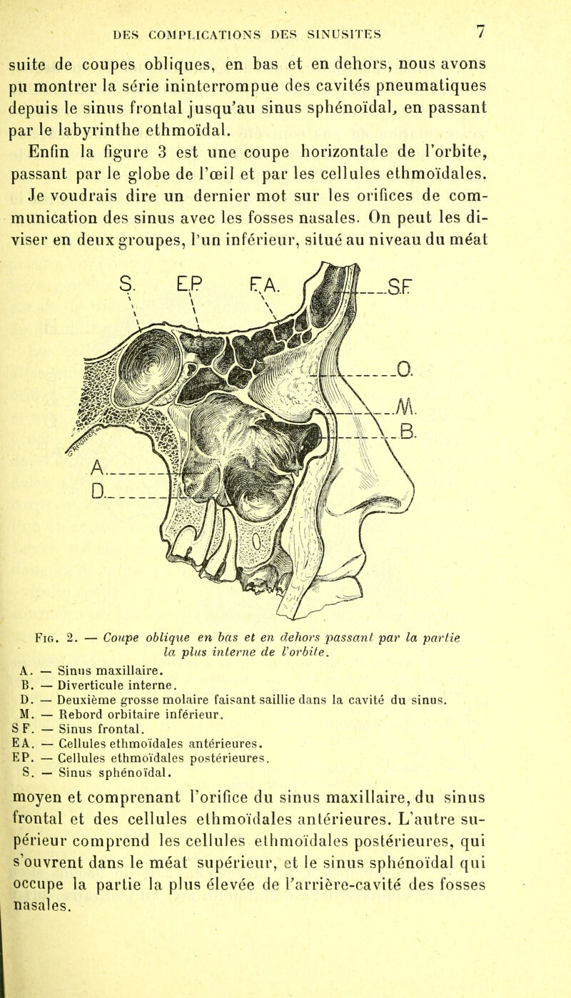 suite de coupes obliques, en bas et en dehors, nous avons pu montrer la série ininterrompue des cavités pneumatiques depuis le sinus frontal jusqu'au sinus sphénoïdal, en passant par le labyrinthe ethmoïdal. Enfin la figure 3 est une coupe horizontale de l'orbite, passant par le globe de l'œil et par les cellules ethmoïdales. Je voudrais dire un dernier mot sur les orifices de com- munication des sinus avec les fosses nasales. On peut les di- viser en deux groupes, l'un inférieur, situé au niveau du méat Fig. 2. — Coupe oblique en bas et en dehors passant par la partie la plus interne de Vorbite. A. — Sinus maxillaire. B. — Diverticule interne. D. — Deuxième grosse molaire faisant saillie dans la cavité du sinus. M. — Rebord orbitaire inférieur. S F. — Sinus frontal. EA. — Cellules ethmoïdales antérieures. EP. — Cellules ethmoïdales postérieures. S. — Sinus sphénoïdal. moyen et comprenant l'orifice du sinus maxillaire, du sinus frontal et des cellules ethmoïdales antérieures. L'autre su- périeur comprend les cellules ethmoïdales postérieures, qui s'ouvrent dans le méat supérieur, et le sinus sphénoïdal qui occupe la partie la plus élevée de l'arrière-cavité des fosses nasales.