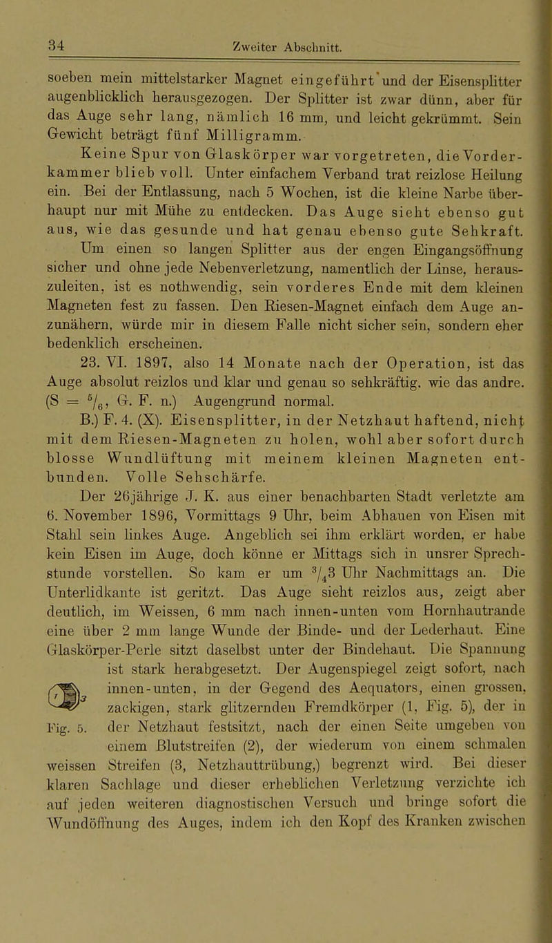 soeben mein mittelstarker Magnet eingeführtund der Eisensplitter augenblicklich herausgezogen. Der Splitter ist zwar dünn, aber für das Auge sehr lang, nämlich 16 mm, und leicht gekrümmt. Sein Gewicht beträgt fünf Milligramm. Keine Spur von Glaskörper war vorgetreten, die Vorder- kammer blieb voll. Unter einfachem Verband trat reizlose Heilung ein. Bei der Entlassung, nach 5 Wochen, ist die kleine Narbe über- haupt nur mit Mühe zu entdecken. Das Auge siebt ebenso gut aus, wie das gesunde und hat genau ebenso gute Sehkraft. Um einen so langen Splitter aus der engen Eingangsöffnung sicher und ohne jede Nebenverletzung, namentlich der Linse, beraus- zuleiten, ist es nothwendig, sein vorderes Ende mit dem ldeinen Magneten fest zu fassen. Den Riesen-Magnet einfach dem Auge an- zunähern, würde mir in diesem Falle nicht sicher sein, sondern eher bedenklich erscheinen. 23. VI. 1897, also 14 Monate nach der Operation, ist das Auge absolut reizlos und klar und genau so sehkräftig, wie das andre. (S = 5/6, G. F. n.) Augengrund normal. B.) F. 4. (X). Eisensplitter, in der Netzhaut haftend, nicht mit dem Riesen-Magneten zu holen, wohl aber sofort durch blosse Wundlüftung mit meinem kleinen Magneten ent- bunden. Volle Sehschärfe. Der 26jährige J. K. aus einer benachbarten Stadt verletzte am 6. November 1896, Vormittags 9 Uhr, beim Abhauen von Eisen mit Stahl sein linkes Auge. Angeblich sei ihm erklärt worden, er habe kein Eisen im Auge, doch könne er Mittags sich in unsrer Sprech- stunde vorstellen. So kam er um 3/43 Uhr Nachmittags an. Die Unterlid kante ist geritzt. Das Auge sieht reizlos aus, zeigt aber deutlich, im Weissen, 6 mm nach innen-unten vom Hornhautrande eine über 2 mm lange Wunde der Binde- und der Lederhaut, Eine (Ilaskörper-Perle sitzt daselbst unter der Bindehaut, Die Spannung ist stark herabgesetzt. Der Augenspiegel zeigt sofort, nach /^gv innen-unten, in der Gegend des Aequators, einen grossen. zackigen, stark glitzernden Fremdkörper (1, Fig. 5), der in Fig. 5. der Netzhaut festsitzt, nach der einen Seite umgeben von einem ßlutstreifen (2), der wiederum von einem schmalen weissen Streifen (3, Netzhauttrübung,) begrenzt wird. Bei dieser klaren Sachlage und dieser erheblichen Verletzung verzichte ich auf jeden weiteren diagnostischen Versuch und bringe sofort die Wundöffnung des Auges, indem ich den Kopf des Kranken zwischen