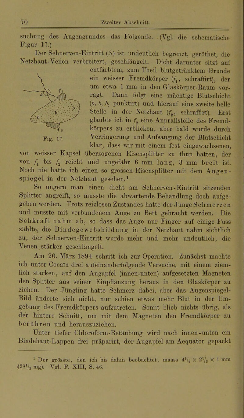 suchung des Augengrundes das Folgende. . (Vgl. die scliematische Figur 17.) Der Sehnerven-Eintritt (S) ist undeutlich begrenzt, geröthet, die Netzhaut-Venen verbreitert, geschlängelt. Dicht darunter sitzt auf entfärbtem, zum Theil blutgetränktem Grunde ein weisser Fremdkörper (/j, schraffirt), der um etwa 1 mm in den Glaskörper-Raum vor- ragt. Dann folgt eine mächtige Blutschicht {b, b, jb, punktirt) und hierauf eine zweite helle Stelle in der Netzhaut {f2, schraffirt). Erst glaubte ich in fa eine Anprallstelle des Fremd- körpers zu erblicken, aber bald wurde durch Verringerung und Aufsaugung der Blutschicht klar, dass wir mit einem fest eingewachsenen, von weisser Kapsel überzogenen Eisensplitter zu thun hatten, der von fx bis f2 reicht und ungefähr 6 mm lang, 3 mm breit ist. Noch nie hatte ich einen so grossen Eisensplitter mit dem Augen- spiegel in der Netzhaut gesehen.1 So ungern man einen dicht am Sehnerven-Eintritt sitzenden Splitter angreift, so musste die abwartende Behandlung doch aufge- geben werden. Trotz reizlosen Zustandes hatte der Junge Schmerzen und musste mit verbundenem Auge zu Bett gebracht werden. Die Sehkraft nahm ab, so dass das Auge nur Finger auf einige Fuss zählte, die Bindegewebsbildung in der Netzhaut nahm sichtlich zu, der Sehnerven-Eintritt wurde mehr und mehr undeutlich, die Venen, stärker geschlängelt. Am 20. März 1894 schritt ich zur Operation. Zunächst machte ich unter Cocal'n drei aufeinanderfolgende Versuche, mit einem ziem- lich starken, auf den Augapfel (innen-unten) aufgesetzten Magneten den Splitter aus seiner Einpflanzung heraus in den Glaskörper zu ziehen. Der Jüngling hatte Schmerz dabei, aber das Augenspiegel- Bild änderte sich nicht, nur schien etwas mehr Blut in der Um- gebung des Fremdkörpers aufzutreten. Somit blieb nichts übrig, als der hintere Schnitt, um mit dem Magneten den Fremdkörper zu berühren und herauszuziehen. Unter tiefer Chloroform-Betäubung wird nach innen-unten ein Bindehaut-Lappen frei präparirt, der Augapfel am Aequator gepackt 1 Der grösste, den ich bis dahin beobachtet, maass 4'/, X 2l/s x 1 mm (231/* mg). Vgl. F. XIII, S. 46.