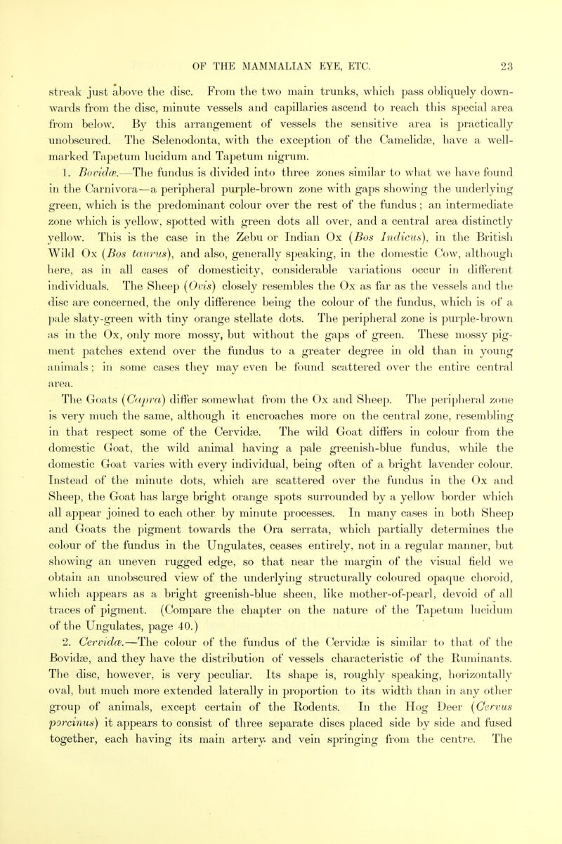 streak just above the disc. From the two main trunks, which pass obliquely down- wards from the disc, minute vessels and capillaries ascend to reach this special area from below. By this arrangement of vessels the sensitive area is practically unobscured. The Selenodonta, with the exception of the Camelidse, have a well- marked Tapetum lucidum and Tape turn nigrum. 1. Bovichp.—The fundus is divided into three zones similar to what we have found in the Carnivora—a peripheral purple-brown zone with gaps showing the underlying green, which is the predominant colour over the rest of the fundus ; an intermediate zone which is yellow, spotted with green dots all over, and a central area distinctly yellow. This is the case in the Zebu or Indian Ox (Bos Indicus), in the British Wild Ox (Bos taurus), and also, generally speaking, in the domestic Cow, although here, as in all cases of domesticity, considerable variations occur in different individuals. The Sheep (Ovis) closely resembles the Ox as far as the vessels and the disc are concerned, the only difference being the colour of the fundus, which is of a pale slaty-green with tiny orange stellate dots. The peripheral zone is purple-brown as in the Ox, only more mossy, but without the gaps of green. These mossy pig- ment patches extend over the fundus to a greater degree in old than in young animals ; in some cases they may even be found scattered over the entire central area. The Goats (Capra) differ somewhat from the Ox and Sheep. The peripheral zone is very much the same, although it encroaches more on the central zone, resembling in that respect some of the Cervidre. The wild Goat differs in colour from the domestic Goat, the wild animal having a pale greenish-blue fundus, while the domestic Goat varies with every individual, being often of a bright lavender colour. Instead of the minute dots, which are scattered over the fundus in the Ox and Sheep, the Goat has large bright orange spots surrounded by a yellow border which all appear joined to each other by minute processes. In many cases in both Sheep and Goats the pigment towards the Ora serrata, which partially determines the colour of the fundus in the Ungulates, ceases entirely, not in a regular manner, but showing an uneven rugged edge, so that near the margin of the visual field we obtain an unobscured view of the underlying structurally coloured opaque choroid, which appears as a bright greenish-blue sheen, like mother-of-pearl, devoid of all traces of pigment. (Compare the chapter on the nature of the Tapetum lucidum of the Ungulates, page 40.) 2. Cervidce.—The colour of the fundus of the Cervidse is similar to that of the Bovidse, and they have the distribution of vessels characteristic of the Ruminants. The disc, however, is very peculiar. Its shape is, roughly speaking, horizontally oval, but much more extended laterally in proportion to its width than in any other group of animals, except certain of the Rodents. In the Hog Deer (Cervus porcinus) it appears to consist of three separate discs placed side by side and fused together, each having its main artery, and vein springing from the centre. The