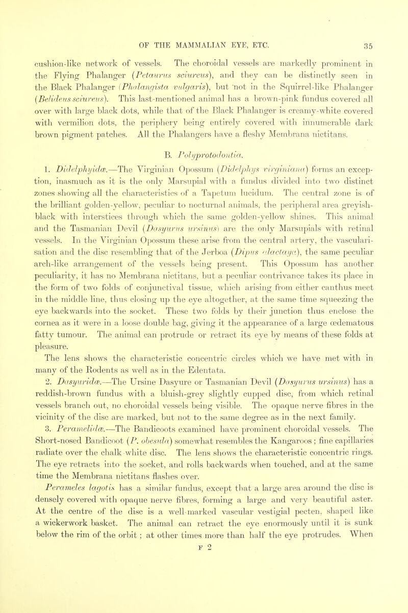 cushion-like network of vessels. The choroidal vessels are markedly prominent in the Flying Phalanger (Petaurus sciureus), and they can he distinctly seen in the Black Phalanger {Phalangista vulgaris), but not in the Squirrel-like Phalanger (BeJideus sciureus). This last-mentioned animal has a brown-pink fundus covered all over with large black dots, while that of the Black Phalanger is creamy-white covered with vermilion dots, the periphery being entirely covered with innumerable dark brown pigment patches. All the Phalangers have a fleshy Membrana nictitans. B. Pohjprotodontia. 1. Didelphyidce.—The Virginian Opossum (Didelphys virginianu) forms an excep- tion, inasmuch as it is the only Marsupial with a fundus divided into two distinct zones showing all the characteristics of a Tapetum lucidum. The central zone is of the brilliant golden-yellow, peculiar to nocturnal animals, the peripheral area greyish- black with interstices through which the same golden-yellow shines. This animal and the Tasmanian Devil (Dasyurus ursinus) are the only Marsupials with retinal vessels. In the Virginian Opossum these arise from the central artery, the vasculari- sation and the disc resembling that of the Jerboa (Dipus alactaya), the same peculiar arch-like arrangement of the vessels being present. This Opossum has another peculiarity, it has no Membrana nictitans, but a peculiar contrivance takes its place in the form of two folds of conjunctival tissue, which arising from either canthus meet in the middle line, thus closing up the eye altogether, at the same time squeezing the eye backwards into the socket. These two folds by their junction thus enclose the cornea as it were in a loose double bag, giving it the appearance of a large cedematous fatty tumour. The animal can protrude or retract its eye by means of these folds at pleasure. The lens shows the characteristic concentric circles which we have met with in many of the Rodents as well as in the Edentata. 2. Dasyuridce.—The Ursine Dasyure or Tasmanian Devil. [Dasyurus ursinus) has a reddish-brown fundus with a bluish-grey slightly cupped disc, from which retinal vessels branch out, no choroidal vessels being visible. The opaque nerve fibres in the vicinity of the disc are marked, but not to the same degree as in the next family. 3. PeramelidcB.—The Bandicoots examined have prominent choroidal vessels. The Short-nosed Bandicoot (P. obesula) somewhat resembles the Kangaroos ; fine capillaries radiate over the chalk white disc. The lens shows the characteristic concentric rings. The eye retracts into the socket, and rolls backwards when touched, and at the same time the Membrana nictitans flashes over. Perameles lagotis has a similar fundus, except that a large area around the disc is densely covered with opaque nerve fibres, forming a large and very beautiful aster. At the centre of the disc is a well-marked vascular vestigial pecten. shaped like a wickerwork basket. The animal can retract the eye enormously until it is sunk below the rim of the orbit; at other times more than half the eye protrudes. When F 2