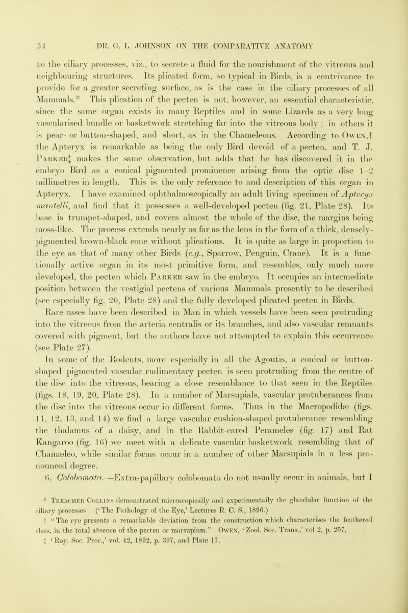 to the ciliary processes, viz., to secrete a fluid for the nourishment of the vitreous and neighbouring structures. Its plicated form, so typical in Birds, is a contrivance to provide for a greater secreting surface, as is the case in the ciliary processes of all Mammals.* This plication of the pecten is not, however, an essential characteristic, since the same organ exists in many Reptiles and in some Lizards as a very long vascularised bundle or basketwork stretching far into the vitreous body ; in others it is pear- or button-shaped, and short, as in the Chameleons. According to OwEN,f the Apteryx is remarkable as being the only Bird devoid of a pecten, and T. J, Parker! makes the same observation, but adds that he has discovered it in the embryo Bird as a conical pigmented prominence arising from the optic disc L-2 millimetres in length. This is the only reference to and description of this organ in Apteryx. I have examined ophtbalmoscopically an adult living specimen of Apteryx mantelli, and find that it possesses a well-developed pecten (fig. 21, Plate 28). Its base is trumpet-shaped, and covers almost the whole of the disc, the margins being moss-1 ike. The process extends nearly as far as the lens in the form of a thick, densely - pigmented brown-black cone without plications. It is quite as large in proportion to the eye as that of many other Birds (e.g., Sparrow, Penguin, Crane). It is a func- tionally active organ in its most primitive form, and resembles, only much more developed, the pecten which Parker saw in the embryo. It occupies an intermediate position between the vestigial pectens of various Mammals presently to be described (see especially fig. 20, Plate 28) and the fully developed plicated pecten in Birds. Bare cases have been described in Man in which vessels have been seen protruding into the vitreous from the arteria centralis or its branches, and also vascular remnants covered with pigment, but the authors have not attempted to explain this occurrence (see Plate 27). In some of the Rodents, more especially in all the Agoutis, a conical or button- shaped pigmented vascular rudimentary pecten is seen protruding from the centre of the disc into the vitreous, bearing a close resemblance to that seen in the Reptiles (figs. 18, 19, 20, Plate 28). In a number of Marsupials, vascular protuberances from the disc into the vitreous occur in different forms. Thus in the Macropodidae (figs. 11, 12, 13, and 14) we find a large vascular cushion-shaped protuberance resembling the thalamus of a daisy, and in the Rabbit-eared Perameles (fig. 17) and Rat Kangaroo (fig. 1G) we meet with a delicate vascular basketwork resembling that of Chamseleo, while similar forms occur in a number of other Marsupials in a less pro- nounced degree. 6. Colobomata,—Extra-papillary colobomata do not usually occur in animals, but T * Treacher Collins demonstrated microscopically and experimentally the glandular function of the ciliary processes ('The Pathology of the Eye,' Lectures R C. S., 1896.) t  The eye presents a remarkable deviation from the construction which characterises the feathered class, in the total absence of the pecten or marsupium. Owen, 1 Zool. Soc. Trans.,' vol 2, p. 257.