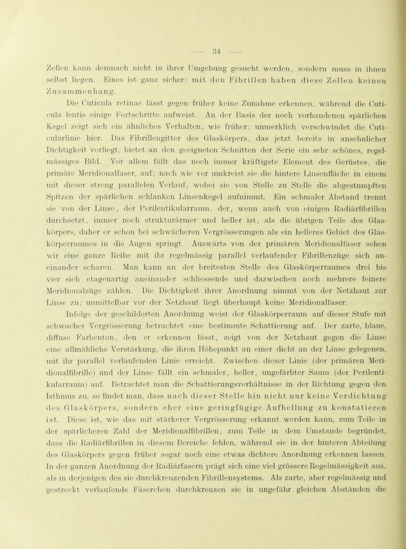 Zellen kann demnach nicht in ihrer Umgebung gesucht werden, sundern muss in ihnen selbst liegen. Eines ist ganz sicher: mit den Fibrillen haben diese Zellen keinen Zusammenhang. Die Cuticula retinae lässt gegen früher keine Zunahme erkennen, während die Cuti- cula lentis einige Fortschritte aufweist. An der Basis der noch vorhandenen spärlichen Kegel zeigt sich ein ähnliches Verhalten, wie früher: unmerklich verschwindet die Cuti- cularlinie hier. Das Fibrillengitter des Glaskörpers, das jetzt bereits in anselmlicher Dichtigkeit vorliegt, bietet an den geeigneten Schnitten der Serie ein sehr schönes, regel- mässiges Bild. Vor allem fällt das noch immer kräftigste Element des Gerüstes, die primäre Meridionalfaser, auf; nach wie vor umkreist sie die hintere Linsenfläche in einem mit dieser streng parallelen Verlauf, wobei sie von Stelle zu Stelle die abgestumpften Spitzen der spärlichen schlanken Linsenkegel aufnimmt. Ein schmaler Abstand trennt sie von der Linse, der Perilentikularraum, der, wenn auch von einigen Radiärfibrillen durchsetzt, immer noch strukturärmer und heller ist, als die übrigen Teile des Glas- körpers, daher er schon bei schwächeren Vergrösserungen als ein helleres Gebiet des Glas- körperraumes in die Augen springt. Auswärts von der primären Meridionalfaser sehen wir eine ganze Reihe mit ihr regelmässig parallel verlaufender Fibrillenzüge sich an- einander scharen. Man kann an der breitesten Stelle des Glaskörperraumes drei bis vier sich etagenartig aneinander schhessende und dazwischen noch mehrere feinere Meridionalzüge zählen. Die Dichtigkeit ihrer Anordnung nimmt von der Netzhaut zur Linse zu; unmittelbar vor der Netzhaut liegt überhaupt keine Meridionalfaser. Infolge der geschilderten Anordnung weist der Glaskörperraum auf dieser Stufe mit schwacher Vergrösserung betrachtet eine bestimmte Schattierung auf. Der zarte, blaue, diffuse Farbenton, den er erkennen lässt, zeigt von der Netzhaut gegen die Linse eine allmähliche Verstärkung, die ihren Höhepunkt an einer dicht an der Linse gelegenen, mit ihr parallel verlaufenden Linie erreicht. Zwischen dieser Linie (der primären Meri- dionalfibrille) und der Linse fällt ein schmaler, heller, ungefärbter Saum (der Perilenti- kularraum) auf. Betrachtet man die Schattierungsverhältnisse in der Richtung gegen den Isthmus zu, so findet man, dass nach dieser Stelle hin nicht nur keine Verdichtung des Glaskörpers, sondern eher eine geringfügige Aufhellung zu konstatieren ist. Diese ist, wie das mit stärkerer Vergrösserung erkannt werden kann, zum Teile in der spärlicheren Zahl der Meridionalfibrillen, zum Teile in dem Umstände begründet, dass die Radiärfibrillen in diesem Bereiche fehlen, während sie in der hinteren Abteilung des Glaskörpers gegen früher sogar noch eine etwas dichtere Anordnung erkennen lassen. In der ganzen Anordnung der Radiärfasern prägt sich eine viel grössere Regelmässigkeit aus, als in derjenigen des sie durchkreuzenden Fibrillensystems. Als zarte, aber regelmässig und gestreckt verlaufende Fäserchen durchkreuzen sie in ungefähr gleichen Abständen die