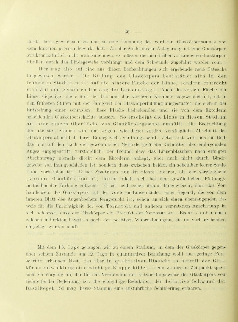 direkt herangewachsen ist und so eine Trennung des vorderen Glaskörperraumes von dem hinteren grossen bew irkt hat. An der Stelle dieser Anlagerung ist eine Glaskörper- struktur natürlich nicht wahrzunehmen, es müssen die hier früher vorhandenen Glaskörper- fibrillen durch das Bindegewebe verdrängt und dem Schwunde zugeführt worden sein. Hier mag also auf eine aus diesen Beobachtungen sich ergebende neue Tatsache hingewiesen werden. Die Bildung des Glaskörpers beschränkt sich in den frühesten Stadien nicht auf die hintere Fläche der Linse, sondern erstreckt sich auf den gesamten Umfang der Linsenanlage. Auch die vordere Fläche der Linse, diejenige, die später der Iris und der vorderen Kammer zugewendet ist, ist in den früheren Stufen mit der Fähigkeit der Gläskörperbildung ausgestattet, die sich in der Entstehung einer schmalen, diese Fläche bedeckenden und sie von dem Ektoderm scheidenden Glaskörperschichte äussert. So erscheint die Linse in diesem Stadium an ihrer ganzen Oberfläche von Glaskörpergewebe umhüllt. Die Beobachtung der nächsten Stadien wird uns zeigen, wie dieser vordere vergängliche Abschnitt des Glaskörpers allmählich durch Bindegewebe verdrängt wird. Jetzt erst wird uns ein Bild, das uns auf den nach der gewöhnlichen Methode gefärbten Schnitten des embryonalen Auges entgegentritt, verständlich: der Befund, dass das Linsenbläschen nach erfolgter Abschnürung niemals direkt dem Ektoderm anliegt, aber auch nicht durch Binde- gewebe von ihm geschieden ist, sondern dass zwischen beiden ein scheinbar leerer Spalt- raum vorhanden ist. Dieser Spaltraum nun ist nichts anderes, als der vergängliche „vordere Glaskörperraum, dessen Inhalt sich bei den gewöhnlichen Färbungs- methoden der Färbung entzieht. Es sei schliesslich darauf hingewiesen, dass das Vor- handensein des Glaskörpers auf der vorderen Linsenfläche, einer Gegend, die von dem inneren Blatt des Augenbechers ferngerückt ist. schon an sich einen überzeugenden Be- weis für die Unrichtigkeit der von Tornatola und anderen vertretenen Anschauung in sich schliefst, dass der Glaskörper ein Produkt der Netzhaut sei. Bedarf es aber eines solchen indirekten Beweises nach den positiven Wahrnehmungen, die im vorhergehenden dargelegt worden sind? Mit dem 13. Tage gelangen wir zu einem Stadium, in dem der Glaskörper gegen- über seinem Zustande am 12. Tage in quantitativer Beziehung wohl nur geringe Fort- schritte erkennen lässt, das aber in qualitativer Hinsicht in betreff der Glas- körperentwicklung eine wichtige Etappe bildet. Denn zu diesem Zeitpunkt spielt sich ein Vorgang ab, der für das Verständnis der Entwicklungsweise des Glaskörpers von tiefgreifender Bedeutung ist: die endgültige Reduktion, der definitive Schwund der Basalkegel. So mag dieses Stadium eine ausführliche Schilderung erfahren.