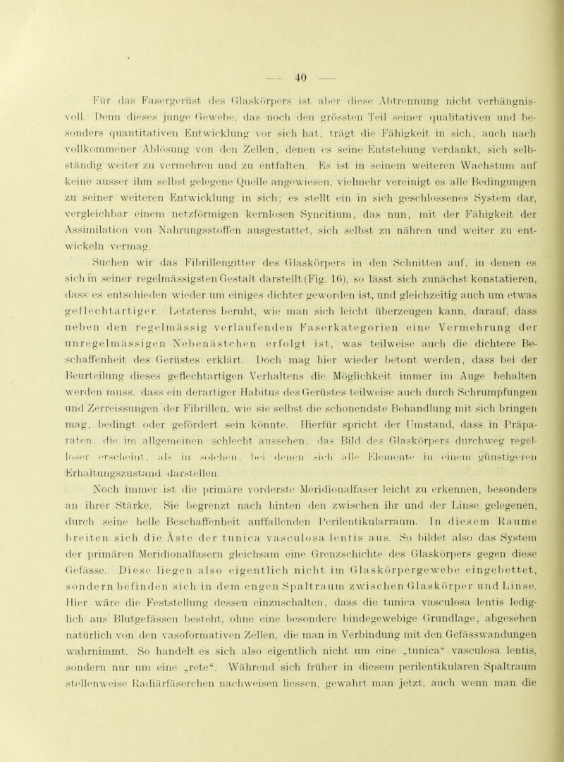 Für das Fasergerüst des Glaskörpers ist aber diese Alltrennung nicht verhängnis- voll, heim dieses junge Gewebe, d;is noch den grössten Teil seiner qualitativen und be- sonders quantitativen Entwicklung vor sich hat, trägt die Fähigkeit in sich, auch nach vollkommener Ablösung von den Zellen, denen es seine Entstehung verdankt., sieh selb- ständig weiter zu vermehren und zu entfalten. Es ist in seinem weiteren Wachstum auf keine ausser ihm selbst gelegene Quelle angewiesen, vielmehr vereinigt es alle Bedingungen zu seiner weiteren Entwicklung in sich; es stellt ein in sich geschlossenes System dar, vergleichbar einem netzförmigen kernlosen Syncitium, das nun, mit der Fähigkeit der Assimilation von Nahrungsstoffen ausgestattet, sieb selbst zu nähren und weiter zu ent- wickeln vermag. Sueben wir das Fibrillengitter des Glaskörpers in den Schnitten auf. in denen es sich in seiner regelmässigsten Gestalt darstellt (Fig. lü), so lässt sich zunächst konstatieren, dass es ent schieden wieder um einiges dichter geworden ist, und gleichzeitig auch um etwas geflechtartiger. Letzteres beruht, wie man sich leicht überzeugen kann, darauf, dass Indien den regelmässig verlaufenden Faserkategorien eine Vermehrung der unregelmässigen Nebenästchen erfolgt ist, was teilweise auch die dichtere Be- schaffenheit des Gerüstes erklärt. Doch mag hier wieder betont, werden, dass bei der Beurteilung dieses geflechtartigen Verhaltens die Möglichkeit immer im Auge behalten werden muss, dass ein derartiger Habitus des Gerüstes teilweise auch durch Schrumpfungen und Zerreissungen der Fibrillen, wie sie selbst die schonendste Behandlung mit sich bringen mag, bedingt oder gefördert sein könnte. Hierfür spricht der Umstand, dass in Präpa- raten, die im allgemeinen schlecht aussehen, das Bild des Glaskörpers durchweg regel- loser erscheint, als in solchen, bei denen sich alle Elemente in einem günstigeren Erhaltungszustand darstellen. Noch immer ist die primäre vorderste Meridionalfaser leicht zu erkennen, besonders an ihrer Stärke. Sie begrenzt nach hinten den zwischen ihr und der Linse gelegenen, durch seine helle Beschaffenheit auffallenden Perilentikularräum. In diesem Räume breiten sich die Äste der tunica vasculosa lentis aus. So bildet also das System der primären Meridionalfasern gleichsam eine Grenzschiente des Glaskörpers gegen diese Gefässe. Diese liegen also eigentlich nicht im Glaskörpergewebe eingebettet, sondern befinden sich in dem engen Spaltraum zwischen Glaskörper und Lins®, Hier wäre die Feststellung dessen einzuschalten, dass die tunica vasculosa, lentis ledig- lieh aus Blutgefässen besteht, ohne eine besondere bindegewebige Grundlage, abgesehen natürlich von den vasoformativen Zellen, die man in Verbindung mit den Gefässwandungeia wahrnimmt. So bandelt es sich also eigentlich nicht um eine ..tunica vasculosa lentis, sondern nur um eine „rete. Während sich früher in diesem perilentikularen Spaltraum stellenweise 1 tadiärfäserchen nachweisen Hessen, gewahrt man jetzt, auch wenn man die