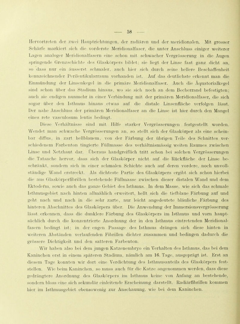 Hervortreten der zwei Hauptrichtungen, der radiären und der meridionalen. Mit grosser Schärfe markiert sich die vorderste Meridionalfaser, die unter Anschluss einiger weiterer Lagen analoger Meridionalfasern eine schon mit schwacher Vergrösserung in die Augen springende Grenzschichte des Glaskörpers bildet: sie liegt der Linse fast ganz dicht an, so dass nur ein äusserst schmaler, auch hier sich durch seine hellere Beschaffenheit kennzeichnender Perilentikularraum vorhanden ist. Auf das deutlichste erkennt man die Einmündung der Linsenkegel in die primäre Meridionalfaser. Auch die Äquatorialkegel sind schon über das Stadium hinaus, wo sie sich noch an dem Becherrand befestigten; auch sie endigen nunmehr in einer Verbindung mit der primären Meridionalfaser, die sich sogar über den Isthmus hinaus etwas auf die distale Linsenfläche verfolgen lässt. Der nahe Anschluss der primären Meridionalfaser an die Linse ist hier durch den Mangel eines rete vasculosum lentis bedingt. Diese Verhältnisse sind mit Hilfe starker Vergrößerungen festgestellt worden. Wendet man schwache Vergrösserungen an, so stellt sich der Glaskörper als eine schein- bar diffus, in zart hellblauem, von der Färbung der übrigen Teile des Schnittes ver- schiedenem Farbenton tingierte Füllmasse des verhältnismässig weiten Raumes zwischen Linse und Netzhaut dar. Überaus handgreiflich tritt schon bei-solchen Vergrösserungen die Tatsache hervor, dass sich der Glaskörper nicht auf die Rückfläche der Linse be- schränkt, sondern sich in einer schmalen Schichte auch auf deren vordere, noch unvoll- ständige Wand erstreckt. Als dichteste Partie des Glaskörpers ergibt sich schon hierbei die aus Glaskörperfibrillen bestehende Füllmasse zwischen dieser distalen Wand und dem Ektoderm, sowie auch das ganze Gebiet des Isthmus. In dem Masse, wie sich das schmale Isthmusgebiet nach hinten allmählich erweitert, hellt sich die tiefblaue Färbung auf und geht nach und nach in die sehr zarte, nur leicht angedeutete bläuliche Färbung des hinteren Abschnittes des Glaskörpers über. Die Anwendung der Immersionsvergrösserung lässt erkennen, dass die dunklere Färbung des Glaskörpers im Isthmus und vorn haupt- sächlich durch die konzentrierte Anordnung der in den Isthmus eintretenden Meridional- fasern bedingt ist; in der engen Passage des Isthmus drängen sich diese hinten in weiteren Abständen verlaufenden Fibrillen dichter zusammen und bedingen dadurch die grössere Dichtigkeit und den satteren Farbenton. Wir haben also bei dem jungen Katzenembryo ein Verhalten des Isthmus, das bei dem Kaninchen erst in einem späteren Stadium, nämlich am 16. Tage, ausgeprägt ist. Erst an diesem Tage konnten wir dort eine Verdichtung des Isthmusanteils des Glaskörpers fest- stellen. Wie beim Kaninchen, so inuss auch für die Katze angenommen werden, dass diese gedrängtere Anordnung des Glaskörpers im Isthmus keine von Anfang an bestehende, sondern bloss eine sich sekundär einleitende Erscheinung darstellt. Radiärfibrillen kommen hier im Istrrmusgebiet ebensowenig zur Anschauung, wie bei dem Kaninchen.