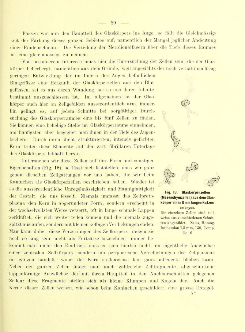 Fassen wir nun den Hauptteil des Glaskörpers ins Auge, so fällt die Gleichmässig- keit der Färbung dieses ganzen Gebietes auf, namentlich der Mangel jeglicher Andeutung einer Rindenschichte. Die Verteilung der Meridionalfasern über die Tiefe dieses Raumes ist eine gleichmässige zu nennen. Von besonderem Interesse muss hier die Untersuchung der Zellen sein, die der Glas- körper beherbergt, namentlich aus dem Grunde, weil angesichts der noch verhältnismässig geringen Entwicklung der im Innern des Auges befindlichen Blutgefässe eine Herkunft der Glaskörperzellen aus den Blut- gefässen, sei es aus deren Wandung, sei es aus deren Inhalte, bestimmt auszuschliessen ist. Im allgemeinen ist der Glas- körper auch hier an Zellgebilden ausserordentlich arm, immer- hin gelingt es, auf jedem Schnitte bei sorgfältiger Durch- suchung des Glaskörperraumes eine bis fünf Zellen zu finden. Sie können eine beliebige Stelle im Glaskörperraume einnehmen, am häufigsten aber begegnet man ihnen in der Tiefe des Augen- bechers. Durch ihren dicht strukturierten, intensiv gefärbten Kern treten diese Elemente auf der zart fibrillären Unterlage des Glaskörpers lebhaft hervor. Untersuchen wir diese Zellen auf ihre Form und sonstigen Eigenschaften (Fig. 18), so lässt sich feststellen, dass wir ganz genau dieselben Zellgattungen vor uns haben, die wir beim Kaninchen als Glaskörperzellen beschrieben haben. Wieder ist es die ausserordentliche Unregelmässigkeit und Mannigfaltigkeit der Gestalt, die uns fesselt. Niemals umfasst das Zellproto- plasma den Kern in abgerundeter Form, sondern erscheint in der wechselvollsten Weise verzerrt, oft in lange schmale Lappen zerklüftet, die sich weiter teilen können und die niemals zuge- spitzt auslaufen, sondern mit kleinen kolbigen Verdickungen enden. Man kann daher diese Verzerrungen des Zellkörpers, mögen sie noch so lang sein, nicht als Fortsätze bezeichnen; immer be- kommt man mehr den Eindruck, dass es sich hierbei nicht um eigentliche Auswüchse eines zentralen Zellkörpers, sondern um peripherische Verschiebungen des Zellplasmas im ganzen handelt, wobei der Kern stellenweise fast ganz unbedeckt bleiben kann. Neben den ganzen Zellen findet man auch zahlreiche Zellfragmente, abgeschnittene lappenförmige Auswüchse der mit ihrem Hauptteil in den Nachbarschnitten gelegenen Zellen: diese Fragmente stellen sich als kleine Klumpen und Kugeln dar. Auch die Kerne dieser Zellen weisen, wie schon beim Kaninchen geschildert, eine grosse Unregel- Fig. 18. Glaskörperzellen (Mesenchymzellen) aus dem Glas- körper eines 8 mm langen Katzen- embryos. Die einzelnen Zellen sind teil- weise aus verschiedenen Schnit- ten abgebildet. Zeiss, Homog. Immersion 1,5 mm, 130, Comp. Oc. 6.