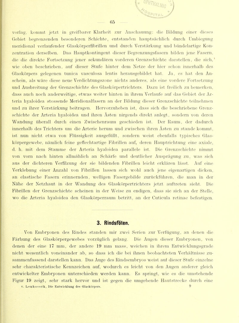 3 65 vorlag, kommt jetzt in greifbarer Klarheit zur Anschauung: die Bildung einer dieses Gebiet begrenzenden besonderen Schichte, entstanden hauptsächlich durch Umbiegung meridional verlaufender Glaskörperfibrillen und durch Verstärkung und bündelartige Kon- zentration derselben. Das Hauptkontingent dieser Begrenzungsfasern bilden jene Fasern, die die direkte Fortsetzung jener sekundären vorderen Grenzschichte darstellen, die sich/ wie oben beschrieben, auf dieser Stufe hinter dem Netze der hier schon innerhalb des Glaskörpers gelegenen tunica vasculosa lentis herausgebildet hat. Ja, es hat den An- schein, als wäre diese neue Verdichtungszone nichts anderes, als eine vordere Fortsetzung und Ausbreitung der Grenzschichte des Glaskörpertrichters. Dazu ist freilich zu bemerken, dass auch noch anderweitige, etwas weiter hinten in ihrem Verlaufe auf das Gebiet der Ar- teria hyaloidea stossende Meridionalfasern an der Bildung dieser Grenzschichte teilnehmen und zu ihrer Verstärkung beitragen. Hervorzuheben ist, dass sich die beschriebene Grenz- schichte der Arteria hyaloidea und ihren Ästen nirgends direkt anlegt, sondern von deren Wandung überall durch einen Zwischenraum geschieden ist. Der Raum, der dadurch innerhalb des Trichters um die Arterie herum und zwischen ihren Ästen zu stände kommt, ist nun nicht etwa von Flüssigkeit ausgefüllt, sondern weist ebenfalls typisches Glas- körpergewebe, nämlich feine geflechtartige Fibrillen auf, deren Hauptrichtung eine axiale, d. h. mit dem Stamme der Arteria hyaloidea parallele ist. Die Grenzschichte nimmt von vorn nach hinten allmählich an Schärfe und deutlicher Ausprägung zu, was sich aus der dichteren Verfilzung der sie bildenden Fibrillen leicht erklären lässt. Auf eine Verklebimg einer Anzahl von Fibrillen lassen sich wohl auch jene eigenartigen dicken, an elastische Fasern erinnernden, welligen Fasergebilde zurückführen, die man in der Nähe der Netzhaut in der Wandung des Glaskörpertrichters jetzt auftreten sieht. Die Fibrillen der Grenzschichte scheinen in der Weise zu endigen, dass sie sich an der Stelle, wo die Arteria hyaloidea den Glaskörperraum betritt, an der Cuticula retinae befestigen. 3. Rindsföten. Von Embryonen des Rindes standen mir zwei Serien zur Verfügung, an denen die Färbung des Glaskörpergewebes vorzüglich gelang. Die Augen dieser Embryonen, von denen der eine 17 mm, der andere 19 mrn mass, weichen in ihrem Entwicklungsgrade nicht wesentlich voneinander ab, so dass ich die bei ihnen beobachteten Verhältnisse zu- sammenfassend darstellen kann. Das Auge des Rindsembryos weist auf dieser Stufe einzelne sehr charakteristische Kennzeichen auf, wodurch es leicht von den Augen anderer gleich entwickelter Embryonen unterschieden werden kann. Es springt, wie es die umstehende Figur 19 zeigt, sehr stark hervor und ist gegen die umgebende Hautstrecke durch eine v. Lenhossek, Die Entwicklung des Glaskörpers. 9