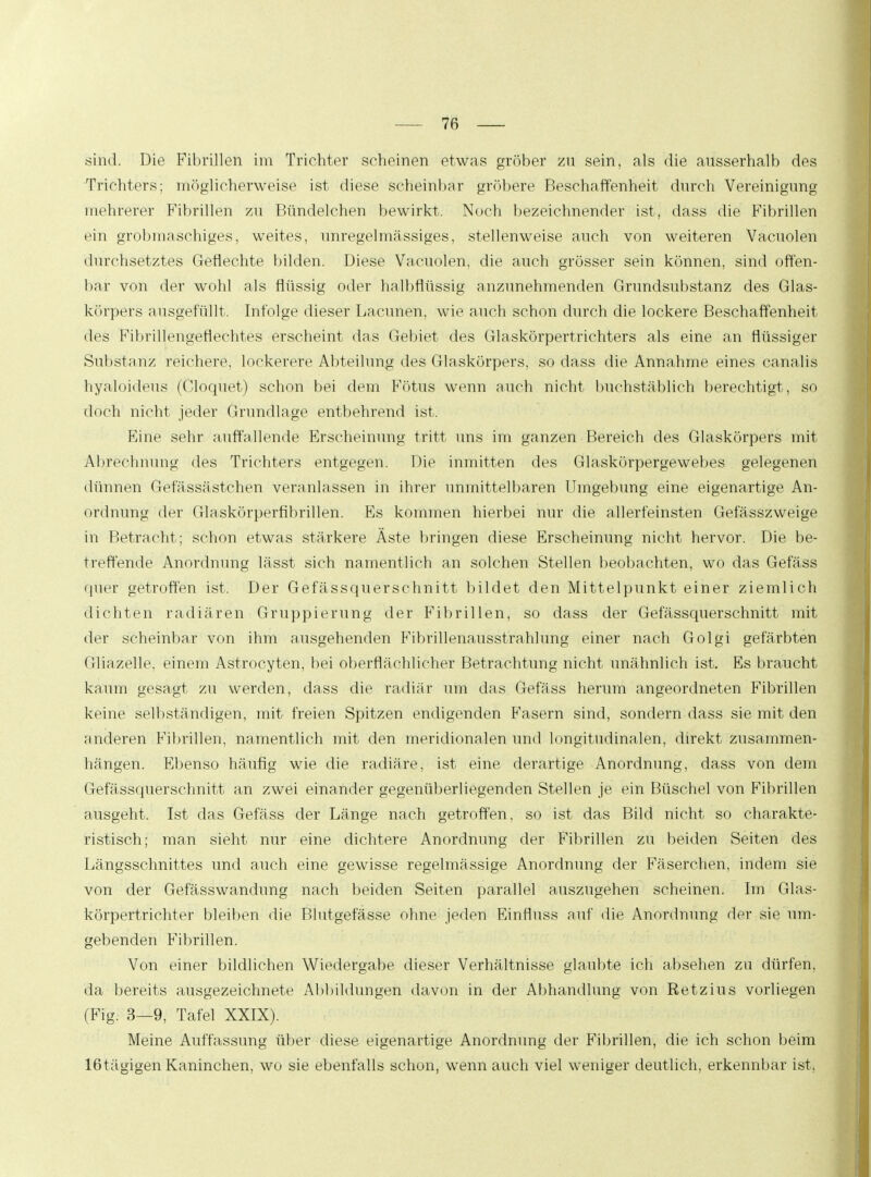 .sind. Die Fibrillen im Trichter scheinen etwas gröber zu sein, als die ausserhalb des Trichters; möglicherweise ist diese scheinbar gröbere Beschaffenheit durch Vereinigung mehrerer Fibrillen zu Bündelchen bewirkt. Noch bezeichnender ist, dass die Fibrillen ein grobmaschiges, weites, unregelmässiges, stellenweise auch von weiteren Vacuolen durchsetztes Geflechte bilden. Diese Vacuolen, die auch grösser sein können, sind offen- bar von der wohl als flüssig oder halbflüssig anzunehmenden Grundsubstanz des Glas- körpers ausgefüllt. Infolge dieser Lacunen, wie auch schon durch die lockere Beschaffenheit des Fibrillengeflechtes erscheint das Gebiet des Glaskörpertrichters als eine an flüssiger Substanz reichere, lockerere Abteilung des Glaskörpers, so dass die Annahme eines canalis hyaloideus (Cloquet) schon bei dem Fötus wenn auch nicht buchstäblich berechtigt, so doch nicht jeder Grundlage entbehrend ist. Eine sehr auffallende Erscheinung tritt uns im ganzen Bereich des Glaskörpers mit Abrechnung des Trichters entgegen. Die inmitten des Glaskörpergewebes gelegenen dünnen Gefässästchen veranlassen in ihrer unmittelbaren Umgebung eine eigenartige An- ordnung der Glaskörperfibrillen. Es kommen hierbei nur die allerfeinsten Gefässzweige in Betracht; schon etwas stärkere Äste bringen diese Erscheinung nicht hervor. Die be- treffende Anordnung lässt sich namentlich an solchen Stellen beobachten, wo das Gefäss quer getroffen ist. Der Gefässquerschnitt bildet den Mittelpunkt einer ziemlich dichten radiären Gruppierung der Fibrillen, so dass der Gefässquerschnitt mit der scheinbar von ihm ausgehenden Fibrillenausstrahlung einer nach Golgi gefärbten Gliazelle, einem Astrocyten, bei oberflächlicher Betrachtung nicht unähnlich ist. Es braucht kaum gesagt zu werden, dass die radiär um das Gefäss herum angeordneten Fibrillen keine selbständigen, mit freien Spitzen endigenden Fasern sind, sondern dass sie mit den anderen Fibrillen, namentlich mit den meridionalen und longitudinalen, direkt zusammen- hängen. Ebenso häufig wie die radiäre, ist eine derartige Anordnung, dass von dem Gefässquerschnitt an zwei einander gegenüberliegenden Stellen je ein Büschel von Fibrillen ausgeht. Ist das Gefäss der Länge nach getroffen, so ist das Bild nicht so charakte- ristisch; man sieht nur eine dichtere Anordnung der Fibrillen zu beiden Seiten des Längsschnittes und auch eine gewisse regelmässige Anordnung der Fäserchen, indem sie von der Gefässwandung nach beiden Seiten parallel auszugehen scheinen. Im Glas- körpertrichter bleiben die Blutgefässe ohne jeden Einnuss auf die Anordnung der sie um- gebenden Fibrillen. Von einer bildlichen Wiedergabe dieser Verhältnisse glaubte ich absehen zu dürfen, da bereits ausgezeichnete Abbildungen davon in der Abhandlung von Retzius vorliegen (Fig. 3—9, Tafel XXIX). Meine Auffassung über diese eigenartige Anordnung der Fibrillen, die ich schon beim 16tägigen Kaninchen, wo sie ebenfalls schon, wenn auch viel weniger deutlich, erkennbar ist,