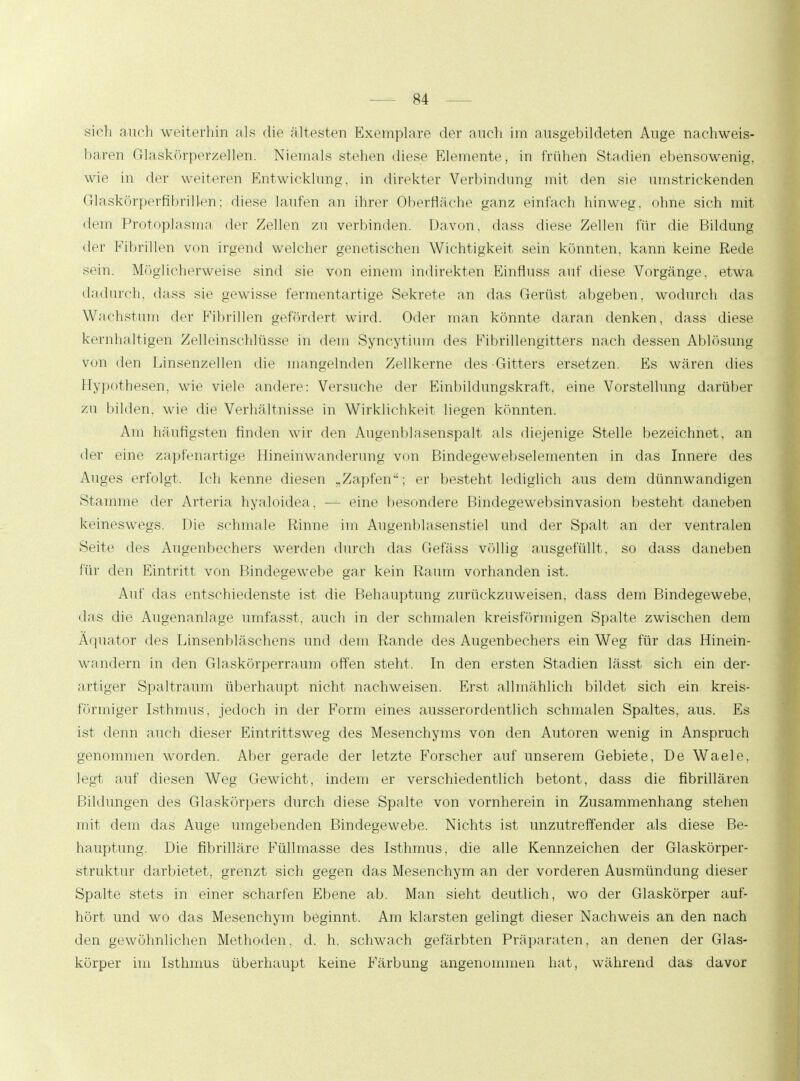 sieh auch weiterhin als die ältesten Exemplare der auch im ausgebildeten Auge nachweis- baren Glaskörperzellen. Niemals stehen diese Elemente, in frühen Stadien ebensowenig, wie in der weiteren Entwicklung, in direkter Verbindung mit den sie umstrickenden Glaskörperfibrillen; diese laufen an ihrer Oberfläche ganz einfach hinweg, ohne sich mit dem Protoplasma der Zellen zu verbinden. Davon, dass diese Zellen für die Bildung der Fibrillen von irgend welcher genetischen Wichtigkeit sein könnten, kann keine Rede sein. Möglicherweise sind sie von einem indirekten Einfluss auf diese Vorgänge, etwa dadurch, dass sie gewisse fermentartige Sekrete an das Gerüst abgeben, wodurch das Wachstum der Fibrillen gefördert wird. Oder man könnte daran denken, dass diese kernhaltigen Zelleinschlüsse in dem Syncytium des Fibrillengitters nach dessen Ablösung von den Linsenzellen die mangelnden Zellkerne des Gitters ersetzen. Es wären dies Hypothesen, wie viele andere: Versuche der Einbildungskraft, eine Vorstellung darüber zu bilden, wie die Verhältnisse in Wirklichkeit liegen könnten. Am häufigsten finden wir den Augenblasenspalt als diejenige Stelle bezeichnet, an der eine zapfenartige Hineinwanderung von Bindegewebselementen in das Innere des Auges erfolgt. Ich kenne diesen „Zapfen; er besteht lediglich aus dem dünnwandigen Stamme der Arteria hyaloidea, — eine besondere Bindegewebsinvasion besteht daneben keineswegs. Die schmale Rinne im Augenblasenstiel und der Spalt an der ventralen Seite des Augenbechers werden durch das Gefäss völlig ausgefüllt, so dass daneben für den Eintritt von Bindegewebe gar kein Raum vorhanden ist. Auf das entschiedenste ist die Behauptung zurückzuweisen, dass dem Bindegewebe, das die Augenanlage umfasst, auch in der schmalen kreisförmigen Spalte zwischen dem Äquator des Linsenbläschens und dem Rande des Augenbechers ein Weg für das Hinein- wandern in den Glaskörperraum offen steht, In den ersten Stadien lässt sich ein der- artiger Spaltraum überhaupt nicht nachweisen. Erst allmählich bildet sich ein kreis- förmiger Isthmus, jedoch in der Form eines ausserordentlich schmalen Spaltes, aus. Es ist denn auch dieser Eintrittsweg des Mesenchyms von den Autoren wenig in Anspruch genommen worden. Aber gerade der letzte Forscher auf unserem Gebiete, De Waele, legt auf diesen Weg Gewicht, indem er verschiedentlich betont, dass die fibrillären Bildungen des Glaskörpers durch diese Spalte von vornherein in Zusammenhang stehen mit dem das Auge umgebenden Bindegewebe. Nichts ist unzutreffender als diese Be- hauptung. Die fibrilläre Füllmasse des Isthmus, die alle Kennzeichen der Glaskörper- struktur darbietet, grenzt sich gegen das Mesenchym an der vorderen Ausmündung dieser Spalte stets in einer scharfen Ebene ab. Man sieht deutlich, wo der Glaskörper auf- hört und wo das Mesenchym beginnt. Am klarsten gelingt dieser Nachweis an den nach den gewöhnlichen Methoden, d. h. schwach gefärbten Präparaten, an denen der Glas- körper im Isthmus überhaupt keine Färbung angenommen hat, während das davor