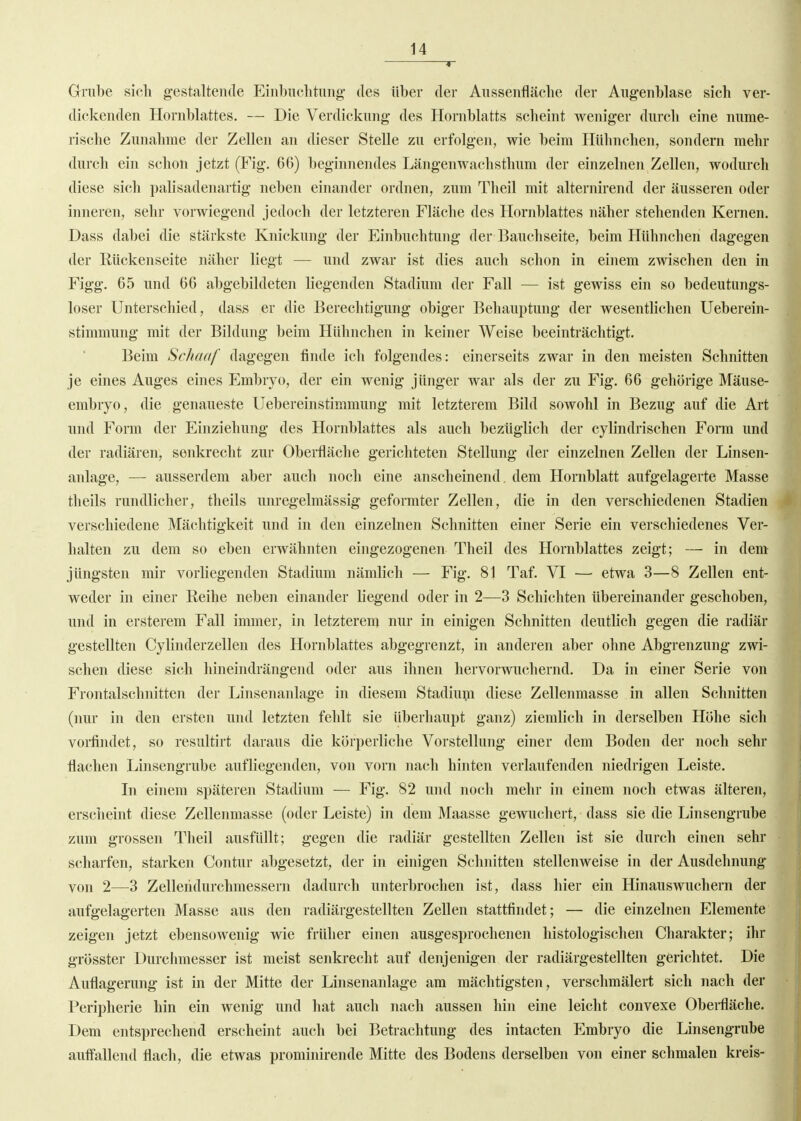 ■ ■—r Grube sicli gestaltende Einbuchtung- des über der Aussenfläche der Augenblase sich ver- dickenden Hornblattes. — Die Verdickung des Hornblatts scheint weniger durch eine nume- rische Zunahme der Zellen an dieser Stelle zu erfolgen, wie beim Hühnchen, sondern mehr durch ein schon jetzt (Fig. 66) beginnendes Längenwachsthum der einzelnen Zellen, wodurch diese sich palisadenartig neben einander ordnen, zum Theil mit alternirend der äusseren oder inneren, sehr vorwiegend jedoch der letzteren Fläche des Hornblattes näher stehenden Kernen. Dass dabei die stärkste Knickung der Einbuchtung der Bauchseite, beim Hühnchen dagegen der Rückenseite näher liegt — und zwar ist dies auch schon in einem zwischen den in Figg. 65 und 66 abgebildeten liegenden Stadium der Fall — ist gewiss ein so bedeutungs- loser Unterschied, dass er die Berechtigung obiger Behauptung der wesentlichen Ueberein- stimmung mit der Bildung beim Hühnchen in keiner Weise beeinträchtigt. Beim Sc/iaaf dagegen finde ich folgendes: einerseits zwar in den meisten Schnitten je eines Auges eines Embryo, der ein wenig jünger war als der zu Fig. 66 gehörige Mäuse- embryo, die genaueste Uebereinstimmung mit letzterem Bild sowohl in Bezug auf die Art und Form der Einziehung des Hornblattes als auch bezüglich der cylindrischen Form und der radiären, senkrecht zur Oberfläche gerichteten Stellung der einzelnen Zellen der Linsen- anlage, — ausserdem aber auch noch eine anscheinend dem Hornblatt aufgelagerte Masse theils rundlicher, theils unregelmässig geformter Zellen, die in den verschiedenen Stadien verschiedene Mächtigkeit und in den einzelnen Schnitten einer Serie ein verschiedenes Ver- halten zu dem so eben erwähnten eingezogenen Theil des Hornblattes zeigt; — in dem- jüngsten mir vorliegenden Stadium nämlich — Fig. 81 Taf. VI — etwa 3—8 Zellen ent- weder in einer Reihe neben einander liegend oder in 2—3 Schichten übereinander geschoben, und in ersterem Fall immer, in letzterem nur in einigen Schnitten deutlich gegen die radiär gestellten Cylinderzellen des Hornblattes abgegrenzt, in anderen aber ohne Abgrenzung zwi- schen diese sich hineindrängend oder aus ihnen hervorwuchernd. Da in einer Serie von Frontalschnitten der Linsenanlage in diesem Stadiu^i diese Zellenmasse in allen Schnitten (nur in den ersten und letzten fehlt sie überhaupt ganz) ziemlich in derselben Höhe sich vorfindet, so resultirt daraus die körperliche Vorstellung einer dem Boden der noch sehr flachen Linsengrube aufliegenden, von vorn nach hinten verlaufenden niedrigen Leiste. Li einem späteren Stadium — Fig. 82 und noch mehr in einem noch etwas älteren, erscheint diese Zellenmasse (oder Leiste) in dem Maasse gewuchert, dass sie die Linsengrube zum grossen Theil ausfüllt; gegen die radiär gestellten Zellen ist sie durch einen sehr scharfen, starken Contur abgesetzt, der in einigen Schnitten stellenweise in der Ausdehnung von 2—3 Zellendurchmessern dadurch unterbrochen ist, dass hier ein Hinauswuchern der aufgelagerten Masse aus den radiärgestellten Zellen stattfindet; — die einzelnen Elemente zeigen jetzt ebensowenig wie früher einen ausgesprochenen histologischen Charakter; ihr grösster Durchmesser ist meist senkrecht auf denjenigen der radiärgestellten gerichtet. Die Auflagerung ist in der Mitte der Linsenanlage am mächtigsten, verschmälert sich nach der Peripherie hin ein wenig und hat auch nach aussen hin eine leicht convexe Obei-fläche. Dem entsprechend erscheint auch bei Betrachtung des intacten Embryo die Linsengrube auffallend flach, die etwas prominirende Mitte des Bodens derselben von einer schmalen kreis-