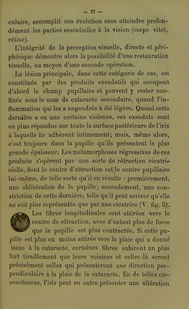 culaire, accomplit son évolution sans atteindre profon- dément les parties essentielles à la vision (corps vitré, rétine). L'intégrité de la perception visuelle, directe et péri- phérique démontre alors la possibilité d'une restauration visuelle, au moyen d'une seconde opération. La lésion principale, dans cette catégorie de cas, est constituée par des produits exsudatifs qui occupent d'abord le champ pupillaire et peuvent y rester con- finés sous le nom de cataracte secondaire, quand l'in- flammation qui les a engendrés à été légère. Quand cette dernière a eu une certaine violence, ces exsudats sont en plus répandus sur toute la surface postérieure de l'iris à laquelle ils adhèrent intimement; mais, même alors, c'est toujours dans la pupille qu'ils présentent la plus grande épaisseur. Les métamorphoses régressives de ces produits s'opèrent par une sorte de rétraction cicatri- cielle, dont le centre d'attraction estle centre pupillaire lui-même, de telle sorte qu'il en résulte : premièrement, une oblitération de la pupille; secondement, une con- striction de cette dernière, telle qu'il peut arriver qu'elle ne soit plus représentée que par une cicatrice (V. fig. 5). •Les fibres longitudinales sont attirées vers le centre de rétraction, avec d'autant plus de force que la pupille est plus contractée. Si cette pu- pille est plus ou moins attirée vers la plaie qui a donné issue à la cataracte, certaines fibres subiront un plus fort tiraillement que leurs voisines et celles-là seront précisément celles qui présenteront une direction per- pendiculaire à la plaie de la cataracte. En de telles cir- constances, l'iris peut en outre présenter une altération