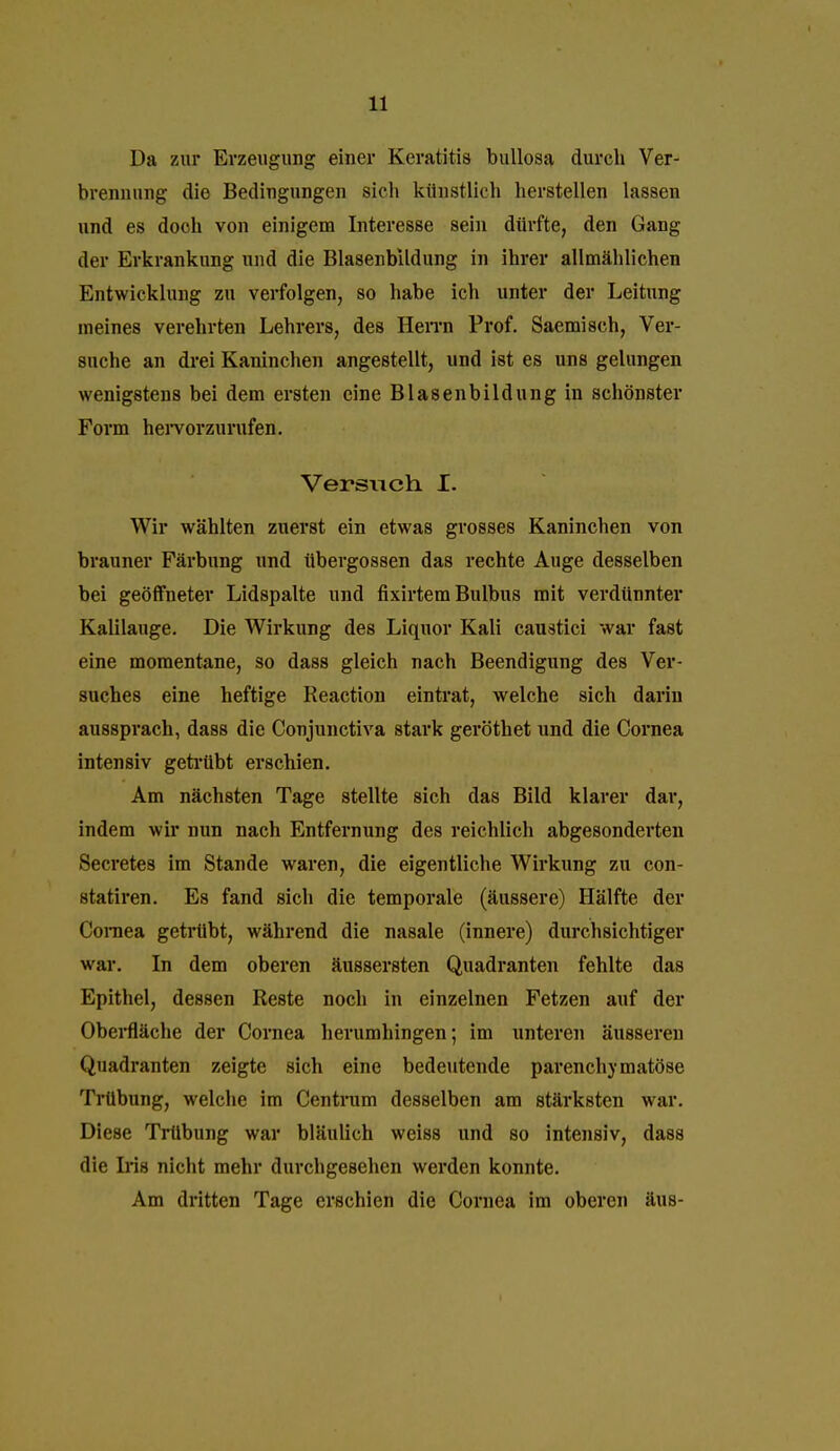 Da zur Erzeugung einer Keratitis bullosa durch Ver- brennung die Bedingungen sich künstlich herstellen lassen und es doch von einigem Interesse sein dürfte, den Gang der Erkrankung und die Blasenbildung in ihrer allmählichen Entwicklung zu verfolgen, so habe ich unter der Leitung meines verehrten Lehrers, des HeiTn Prof. Saemisch, Ver- suche an drei Kaninchen angestellt, und ist es uns gelungen wenigstens bei dem ersten eine Blasenbildung in schönster Form heivorzurufen. Versuch I. Wir wählten zuerst ein etwas grosses Kaninchen von brauner Färbung und Übergossen das rechte Auge desselben bei geöffneter Lidspalte und fixirtem Bulbus mit verdünnter Kalilauge. Die Wirkung des Liquor Kali caustici war fast eine momentane, so dass gleich nach Beendigung des Ver- suches eine heftige Reaction eintrat, welche sich darin aussprach, dass die Conjunctiva stai'k geröthet und die Cornea intensiv geti-übt erschien. Am nächsten Tage stellte sich das Bild klarer dar, indem wir nun nach Entfernung des reichlich abgesonderten Secretes im Stande waren, die eigentliche Wirkung zu con- statiren. Es fand sich die temporale (äussere) Hälfte der CoiTiea getrübt, während die nasale (innere) durchsichtiger war. In dem oberen äussersten Quadranten fehlte das Epithel, dessen Reste noch in einzelnen Fetzen auf der Obei*fläche der Cornea herumhingen; im unteren äusseren Quadranten zeigte sich eine bedeutende parenchymatöse Trübung, welche im Centrum desselben am stärksten war. Diese Trübung war bläulich weiss und so intensiv, dass die Iris nicht mehr durchgesehen werden konnte. Am dritten Tage erschien die Cornea im oberen äus-