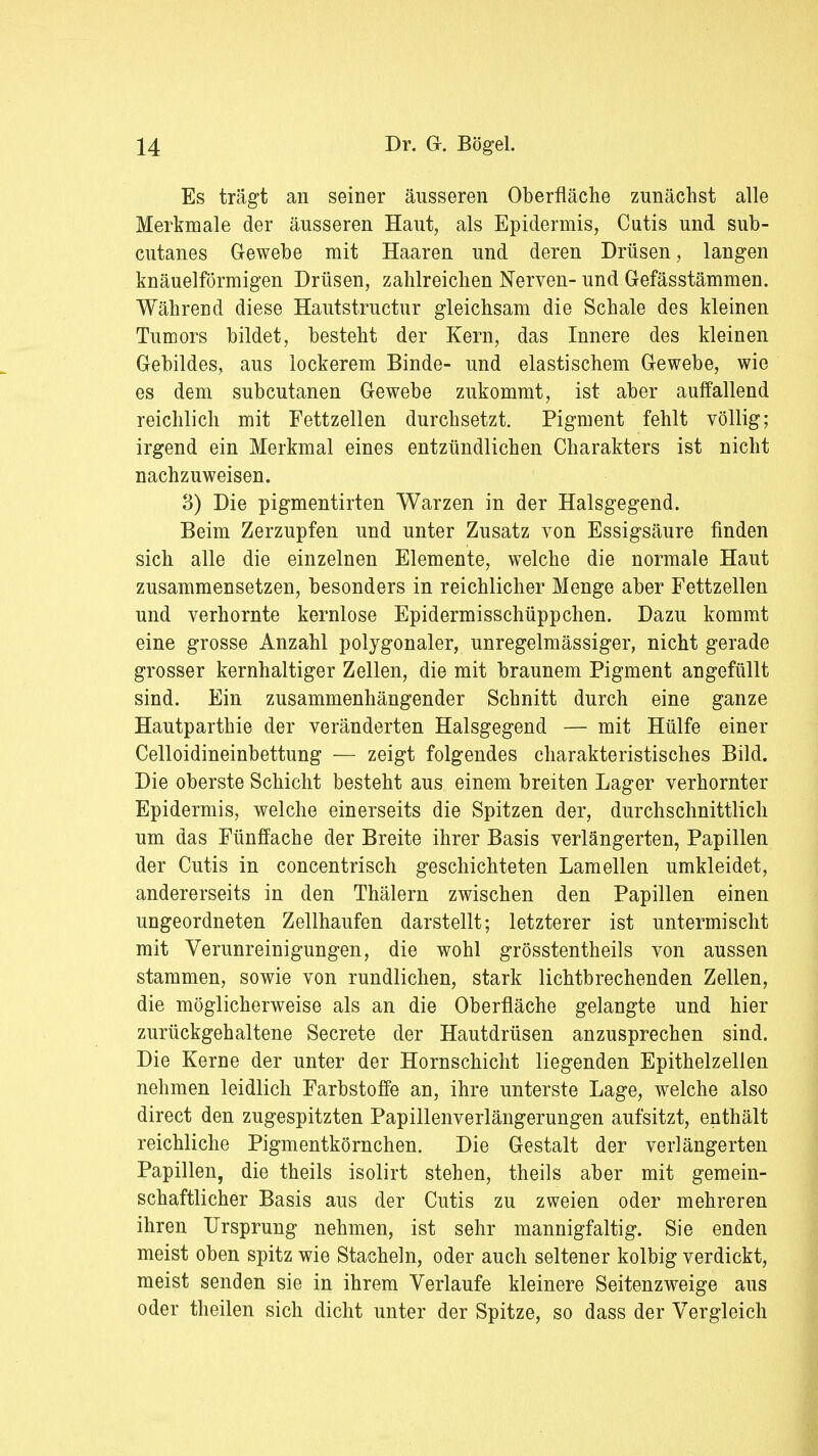 Es trägt an seiner äusseren Oberfläche zunächst alle Merkmale der äusseren Haut, als Epidermis, Cutis und sub- cutanes Gewebe mit Haaren und deren Drüsen, langen knäuelförmigen Drüsen, zahlreichen Nerven- und Gefässtämmen. Während diese Hautstructur gleichsam die Schale des kleinen Tumors bildet, besteht der Kern, das Innere des kleinen Gebildes, aus lockerem Binde- und elastischem Gewebe, wie es dem subcutanen Gewebe zukommt, ist aber auffallend reichlich mit Fettzellen durchsetzt. Pigment fehlt völlig; irgend ein Merkmal eines entzündlichen Charakters ist nicht nachzuweisen. 3) Die pigmentirten Warzen in der Halsgegend. Beim Zerzupfen und unter Zusatz von Essigsäure finden sich alle die einzelnen Elemente, welche die normale Haut zusammensetzen, besonders in reichlicher Menge aber Fettzellen und verhornte kernlose Epidermisschüppchen. Dazu kommt eine grosse Anzahl polygonaler, unregelmässiger, nicht gerade grosser kernhaltiger Zellen, die mit braunem Pigment angefüllt sind. Ein zusammenhängender Schnitt durch eine ganze Hautparthie der veränderten Halsgegend — mit Hülfe einer Celloidineinbettung — zeigt folgendes charakteristisches Bild. Die oberste Schicht besteht aus einem breiten Lager verhornter Epidermis, welche einerseits die Spitzen der, durchschnittlich um das Fünffache der Breite ihrer Basis verlängerten, Papillen der Cutis in concentrisch geschichteten Lamellen umkleidet, andererseits in den Thälern zwischen den Papillen einen ungeordneten Zellhaufen darstellt; letzterer ist untermischt mit Verunreinigungen, die wohl grösstentheils von aussen stammen, sowie von rundlichen, stark lichtbrechenden Zellen, die möglicherweise als an die Oberfläche gelangte und hier zurückgehaltene Secrete der Hautdrüsen anzusprechen sind. Die Kerne der unter der Hornschicht liegenden Epithelzellen nehmen leidlich Farbstoffe an, ihre unterste Lage, welche also direct den zugespitzten Papillenverlängerungen aufsitzt, enthält reichliche Pigmentkörnchen. Die Gestalt der verlängerten Papillen, die theils isolirt stehen, theils aber mit gemein- schaftlicher Basis aus der Cutis zu zweien oder mehreren ihren Ursprung nehmen, ist sehr mannigfaltig. Sie enden meist oben spitz wie Stacheln, oder auch seltener kolbig verdickt, meist senden sie in ihrem Verlaufe kleinere Seitenzweige aus oder theilen sich dicht unter der Spitze, so dass der Vergleich