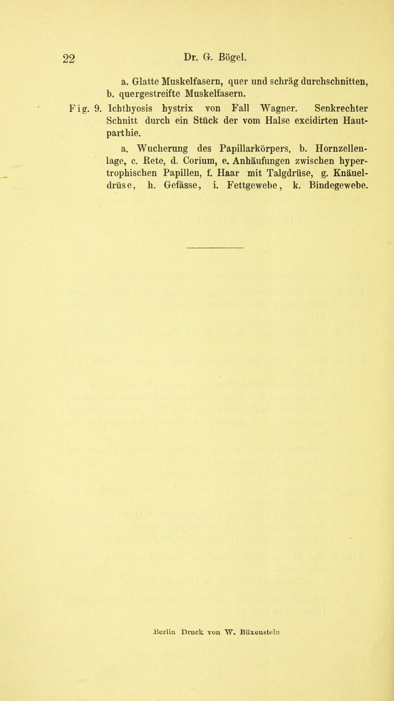 a. Glatte Muskelfasern, quer und schräg durchschnitten, b. quergestreifte Muskelfasern. 9. Ichthyosis hystrix von Fall Wagner. Senkrechter Schnitt durch ein Stück der vom Halse excidirten Haut- part hie. a. Wucherung des Papillarkörpers, b. Hornzellen- lage, c. Bete, d. Corium, e. Anhäufungen zwischen hyper- trophischen Papillen, f. Haar mit Talgdrüse, g. Knäuel- drüse, h. Gefässe, i. Fettgewebe, k. Bindegewebe. .Berlin Druck von. W. Büxenstein