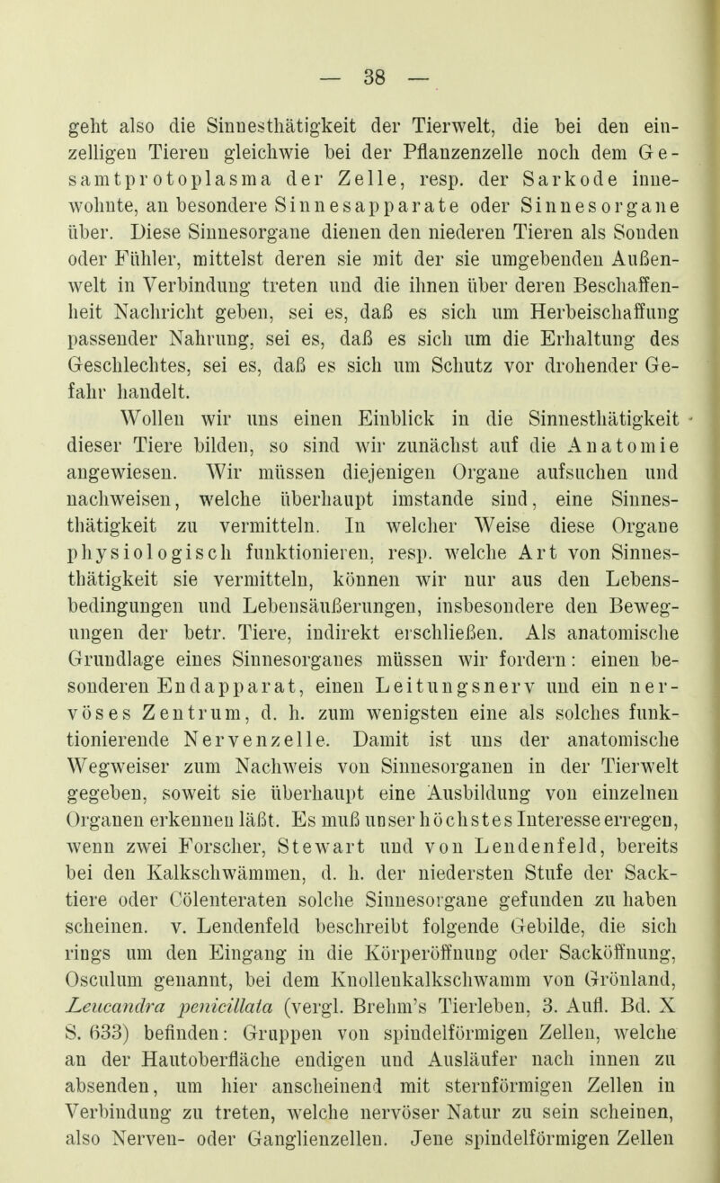 geht also die Sinnesthätigkeit der Tierwelt, die bei den ein- zelligen Tiereu gleichwie bei der Pflanzenzelle noch dem Ge- samtprotoplasma der Zelle, resp. der Sarkode inne- wohnte, an besondere S i n n e s a p p a r a t e oder Sinnesorgane über. Diese Sinnesorgane dienen den niederen Tieren als Sonden oder Fühler, mittelst deren sie mit der sie umgebenden Außen- welt in Verbindung treten und die ihnen über deren Beschaffen- heit Nachricht geben, sei es, daß es sich um Herbeischaffung passender Nahrung, sei es, daß es sich um die Erhaltung des Geschlechtes, sei es, daß es sich um Schutz vor drohender Ge- fahr handelt. Wollen wir uns einen Einblick in die Sinnesthätigkeit - dieser Tiere bilden, so sind wir zunächst auf die Anatomie angewiesen. Wir müssen diejenigen Organe aufsuchen und nachweisen, welche überhaupt imstande sind, eine Sinnes- thätigkeit zu vermitteln. In welcher Weise diese Organe physiologisch funktionieren, resp. welche Art von Sinnes- thätigkeit sie vermitteln, können wir nur aus den Lebens- bedingungen und Lebensäußerungen, insbesondere den Beweg- ungen der betr. Tiere, indirekt erschließen. Als anatomische Grundlage eines Sinnesorganes müssen wir fordern: einen be- sonderen Endapparat, einen Leitungsnerv und ein ner- vöses Zentrum, d. h. zum wenigsten eine als solches funk- tionierende Nervenzelle. Damit ist uns der anatomische Wegweiser zum Nachweis von Sinnesorganen in der Tierwelt gegeben, soweit sie überhaupt eine Ausbildung von einzelnen Organen erkennen läßt. Es muß unser höchstes Interesse erregen, wenn zwei Forscher, Stewart und von Lendenfeld, bereits bei den Kalkschwämmen, d. h. der niedersten Stufe der Sack- tiere oder Cölenteraten solche Sinnesorgane gefunden zu haben scheinen, v. Lendenfeld beschreibt folgende Gebilde, die sich rings um den Eingang in die Körperöffnung oder Sackölfnung, Osculum genannt, bei dem Knollenkalkschwamm von Grönland, Leucandra ijenicillata (vergl. Brehm's Tierleben, 3. Aufl. Bd. X S. 633) befinden: Gruppen von spindelförmigen Zellen, welche an der Hautoberfläche endigen und Ausläufer nach innen zu absenden, um hier anscheinend mit sternförmigen Zellen in Verbindung zu treten, welche nervöser Natur zu sein scheinen, also Nerven- oder Ganglienzellen. Jene spindelförmigen Zellen