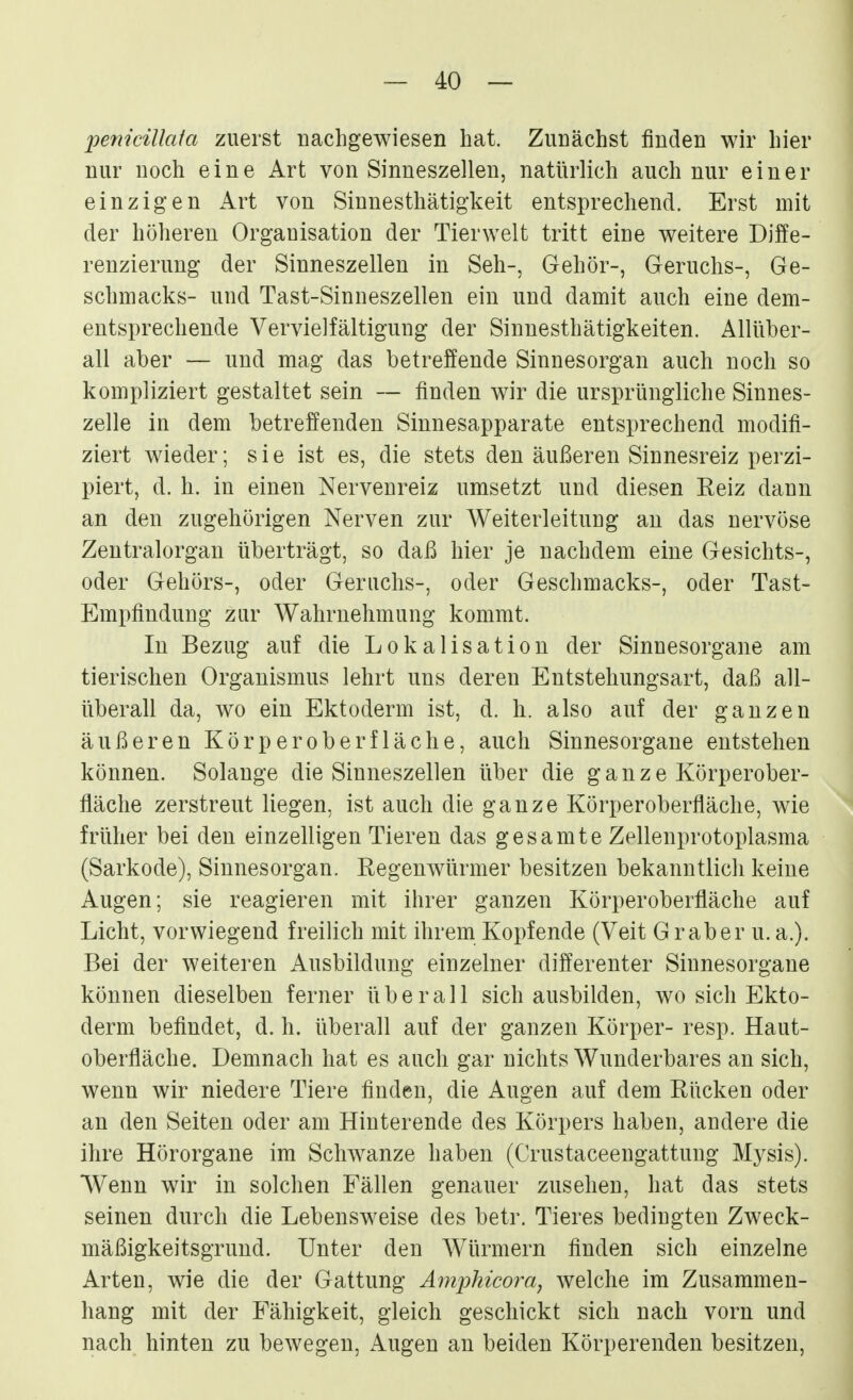 penicillaia zuerst nachgewiesen hat. Zunächst finden wir hier nur noch eine Art von Sinneszellen, natürlich auch nur einer einzigen Art von Sinnesthätigkeit entsprechend. Erst mit der höheren Organisation der Tierwelt tritt eine weitere Diffe- renzierung der Sinneszellen in Seh-, Gehör-, Geruchs-, Ge- schmacks- und Tast-Sinneszellen ein und damit auch eine dem- entsprechende Vervielfältigung der Sinnesthätigkeiten. Allüber- all aber — und mag das betreffende Sinnesorgan auch noch so kompliziert gestaltet sein — finden wir die ursprüngliche Sinnes- zelle in dem betreffenden Sinnesapparate entsprechend modifi- ziert wieder; s i e ist es, die stets den äußeren Sinnesreiz perzi- piert, d. h. in einen Nervenreiz umsetzt und diesen Reiz dann an den zugehörigen Nerven zur Weiterleitung an das nervöse Zentralorgan überträgt, so daß hier je nachdem eine Gesichts-, oder Gehörs-, oder Geruchs-, oder Geschmacks-, oder Tast- Empfindung zur Wahrnehmung kommt. In Bezug auf die Lokalisation der Sinnesorgane am tierischen Organismus lehrt uns deren Entstehungsart, daß all- überall da, wo ein Ektoderm ist, d. h. also auf der ganzen äußeren Körperoberfläche, auch Sinnesorgane entstehen können. Solange die Sinneszellen über die ganze Körperober- fläche zerstreut liegen, ist auch die ganze Körperoberfläche, wie früher bei den einzelligen Tieren das gesamte Zellenprotoplasma (Sarkode), Sinnesorgan. Regenwürmer besitzen bekanntlich keine Augen; sie reagieren mit ihrer ganzen Körperoberfläche auf Licht, vorwiegend freilich mit ihrem Kopfende (Veit Gr ab er u. a.). Bei der weiteren Ausbildung einzelner differenter Sinnesorgane können dieselben ferner überall sich ausbilden, wo sich Ekto- derm befindet, d. h. überall auf der ganzen Körper- resp. Haut- oberfläche. Demnach hat es auch gar nichts Wunderbares an sich, wenn wir niedere Tiere finden, die Augen auf dem Rücken oder an den Seiten oder am Hinterende des Körpers haben, andere die ihre Hörorgane im Schwänze haben (Crustaceengattung Mysis). Wenn wir in solchen Fällen genauer zusehen, hat das stets seinen durch die Lebensweise des betr. Tieres bedingten Zweck- mäßigkeitsgrund. Unter den Würmern finden sich einzelne Arten, wie die der Gattung Äinphicora, welche im Zusammen- hang mit der Fähigkeit, gleich geschickt sich nach vorn und nach hinten zu bewegen, Augen an beiden Körperenden besitzen.