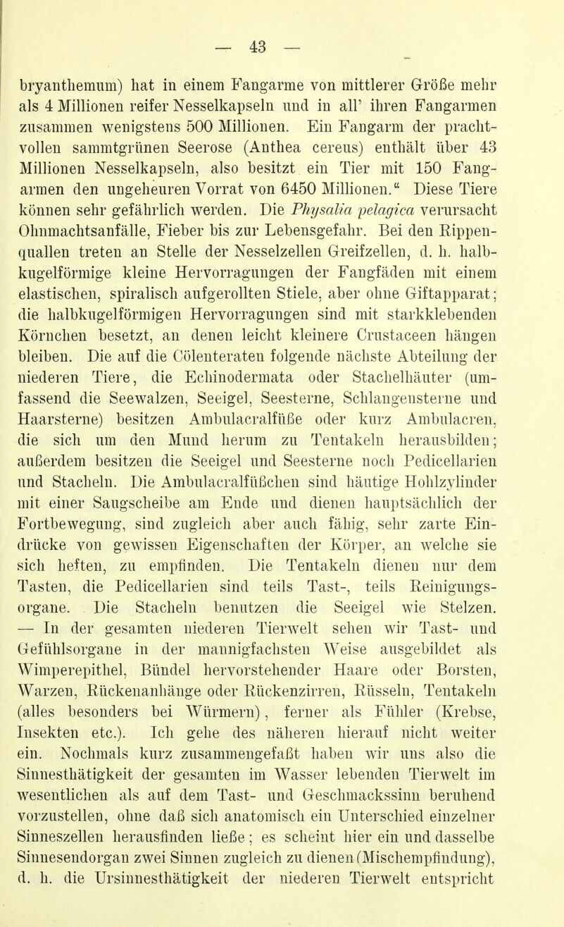 bryanthemnm) hat in einem Fangarme von mittlerer Größe mehr als 4 Millionen reifer Nesselkapseln und in all' ihren Fangarmen zusammen wenigstens 500 Millionen. Ein Fangarm der pracht- vollen sammtgrünen Seerose (Anthea cereus) enthält über 43 Millionen Nesselkapseln, also besitzt ein Tier mit 150 Fang- armen den ungeheuren Vorrat von 6450 Millionen. Diese Tiere können sehr gefährlich werden. Die Physalia yelagica verursacht Ohnmachtsanfälle, Fieber bis zur Lebensgefahr. Bei den Rippen- quallen treten an Stelle der Nesselzellen Greifzellen, d. h. halb- kugelförmige kleine Hervorragungen der Fangfäden mit einem elastischen, spiralisch aufgerollten Stiele, aber ohne Giftapparat; die halbkugelförmigen Hervorragungen sind mit starkklebenden Körnchen besetzt, an denen leicht kleinere Crustaceen hängen bleiben. Die auf die Cölenteraten folgende nächste Abteilung der niederen Tiere, die Echinodermata oder Stachelhäuter (um- fassend die Seewalzen, Seeigel, Seesterne, Schlangensterne und Haarsterne) besitzen Ambulacralfüße oder kurz Ambulacren, die sich um den Mund herum zu Tentakeln herausbilden; außerdem besitzen die Seeigel und Seesterne noch Pedicellarien und Stacheln. Die Ambulacralfüßchen sind häutige Hohlzylinder mit einer Saugscheibe am Ende und dienen hauptsächlich der Fortbewegung, sind zugleich aber auch fähig, sehr zarte Ein- drücke von gewissen Eigenschaften der Körper, an welche sie sich heften, zu empfinden. Die Tentakeln dienen nur dem Tasten, die Pedicellarien sind teils Tast-, teils Eeinigungs- organe. Die Stacheln benutzen die Seeigel wie Stelzen. — In der gesamten niederen Tierwelt sehen wir Tast- und Gefühlsorgaue in der mannigfachsten Weise ausgebildet als Wimperepithel, Bündel hervorstehender Haare oder Borsten, Warzen, Rückenanhänge oder Rückenzirren, Rüsseln, Tentakeln (alles besonders bei Würmern), ferner als Fühler (Krebse, Insekten etc.). Ich gehe des näheren hierauf nicht weiter ein. Nochmals kurz zusammengefaßt haben wir uns also die Sinnesthätigkeit der gesamten im Wasser lebenden Tierwelt im wesentlichen als auf dem Tast- und Geschmackssinn beruhend vorzustellen, ohne daß sich anatomisch ein Unterschied einzelner Sinneszellen herausfinden ließe; es scheint hier ein und dasselbe Sinnesendorgan zwei Sinnen zugleich zu dienen fMischempfindung), d. h. die Ursinnesthätigkeit der niederen Tierwelt entspricht