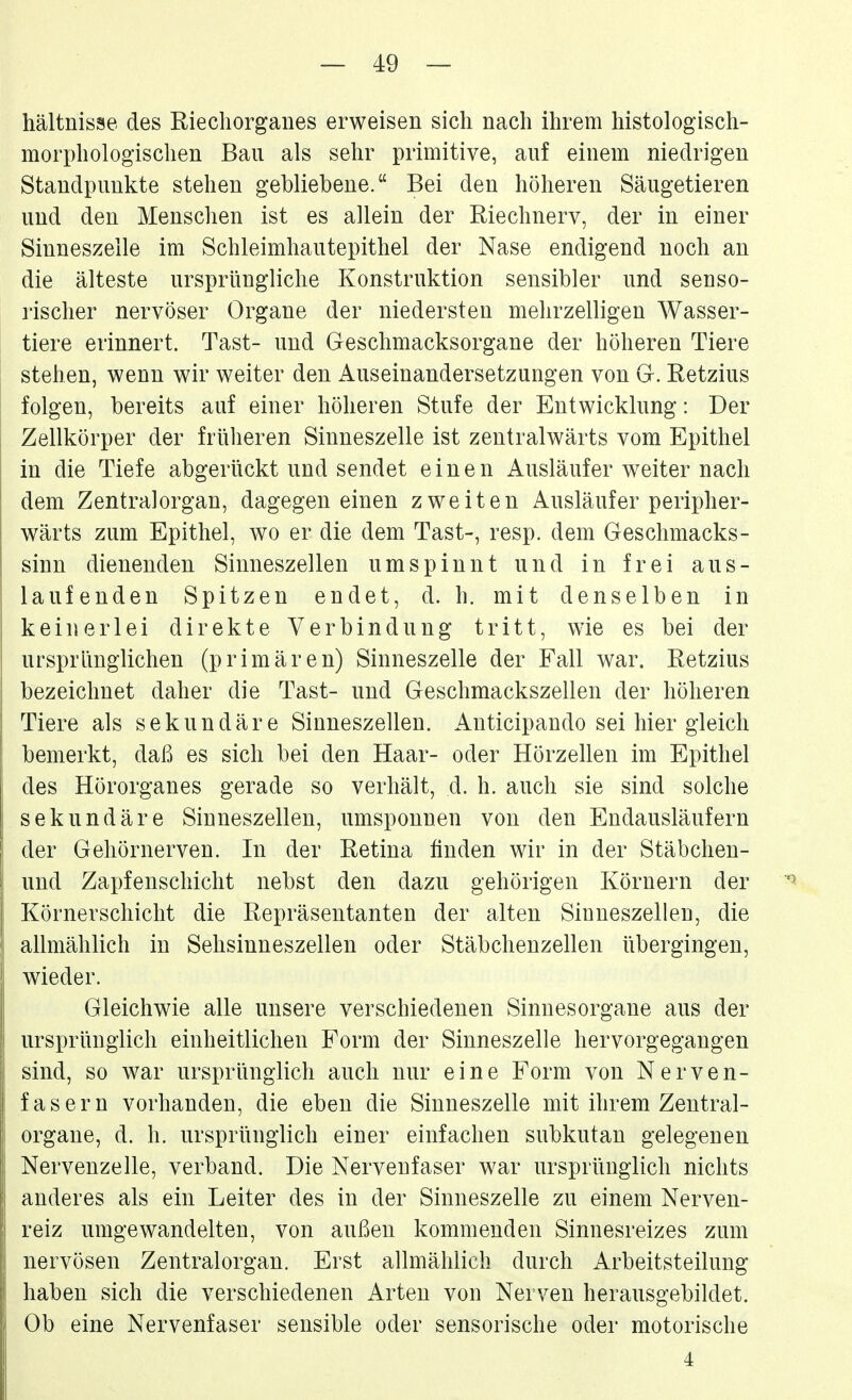 hältniöse des Riecliorgaiies erweisen sich nach ihrem histologisch- morphologischen Bau als sehr primitive, auf einem niedrigen Standpunkte stehen gebliebene. Bei den höheren Säugetieren und den Menschen ist es allein der Riechnerv, der in einer Sinneszelle im Schleimhautepithel der Nase endigend noch an die älteste ursprüngliche Konstruktion sensibler und senso- rischer nervöser Organe der niedersten mehrzelligen Wasser- tiere erinnert. Tast- und Geschmacksorgane der höheren Tiere stehen, wenn wir weiter den Auseinandersetzungen von G. Ketzins folgen, bereits auf einer höheren Stufe der Entwicklung: Der Zellkörper der früheren Sinneszelle ist zentralwärts vom Epithel in die Tiefe abgerückt und sendet einen Ausläufer weiter nach dem Zentralorgan, dagegen einen zweiten Ausläufer peripher- wärts zum Epithel, wo er die dem Tast-, resp. dem Geschmacks- sinn dienenden Sinneszellen umspinnt und in frei aus- laufenden Spitzen endet, d. h. mit denselben in keinerlei direkte Verbindung tritt, wie es bei der ursprünglichen (primären) Sinneszelle der Fall war. Ketzins bezeichnet daher die Tast- und Geschmackszellen der höheren Tiere als sekundäre Sinneszellen. Anticipando sei hier gleich bemerkt, daß es sich bei den Haar- oder Hörzellen im Epithel des Hörorganes gerade so verhält, d. h. auch sie sind solche sekundäre Sinneszellen, umsponnen von den Endausläufern der Gehörnerven. In der Retina finden wir in der Stäbchen- und Zapfenschicht nebst den dazu gehörigen Körnern der Körnerschicht die Repräsentanten der alten Sinneszellen, die allmählich in Sehsinneszellen oder Stäbchenzellen übergingen, wieder. Gleichwie alle unsere verschiedenen Sinnesorgane aus der ursprünglich einheitlichen Form der Sinneszelle hervorgegangen sind, so war ursprünglich auch nur eine Form von Nerven- fasern vorhanden, die eben die Sinneszelle mit ihrem Zentral- organe, d. h. ursprünglich einer einfachen subkutan gelegenen Nervenzelle, verband. Die Nervenfaser war ursprünglich nichts anderes als ein Leiter des in der Sinneszelle zu einem Nerven- reiz umgewandelten, von außen kommenden Sinnesreizes zum nervösen Zentralorgan. Erst allmählich durch Arbeitsteilung haben sich die verschiedenen Arten von Nerven herausgebildet. Ob eine Nervenfaser sensible oder sensorische oder motorische 4