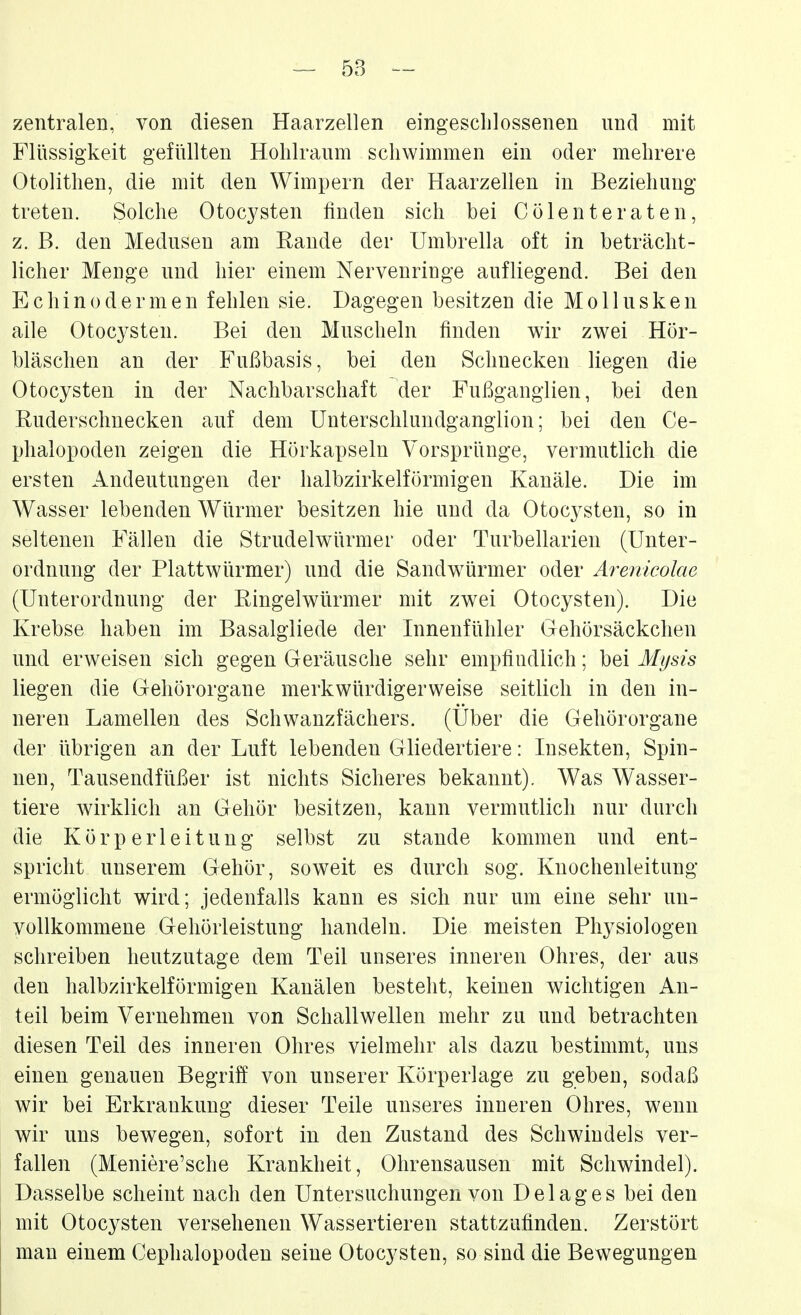 zentraleB, von diesen Haarzellen eingeschlossenen und mit Flüssigkeit gefüllten Holilranm schwimmen ein oder mehrere Otolithen, die mit den Wimpern der Haarzellen in Beziehung treten. Solche Otocysten finden sich bei Cölenteraten, z. B. den Medusen am Rande der Umbrella oft in beträcht- licher Meuge und hier einem Nerveuriuge aufliegend. Bei den E c h i n 0 de r m e n fehlen sie. Dagegen besitzen die Mollusken alle Otocysten. Bei den Muscheln finden wir zwei Hör- bläschen an der Fußbasis, bei den Schnecken liegen die Otocysten in der Nachbarschaft der Fußganglien, bei den Ruderschnecken auf dem Unterschluudganglion; bei den Ce- phalopoden zeigen die Hörkapseln Vorsprünge, vermutlich die ersten Andeutungen der halbzirkelförmigen Kanäle. Die im Wasser lebenden Würmer besitzen hie und da Otocysten, so in seltenen Fällen die Strudelwürmer oder Turbellarien (Unter- ordnung der Plattwürmer) und die Sandw^ürmer oder Arenicolae (Unterordnung der Ringelwürmer mit zwei Otocysten). Die Krebse haben im Basalgliede der Innenfühler Gehörsäckchen und erweisen sich gegen Geräusche sehr empfindlich; bei Mysis liegen die Gehörorgane merkwürdigerweise seitlich in den in- neren Lamellen des Schwanzfächers. (Uber die Gehörorgane der übrigen an der Luft lebenden Gliedertiere: Insekten, Spin- nen, Tausendfüßer ist nichts Sicheres bekannt). Was Wasser- tiere wirklich an Gehör besitzen, kann vermutlich nur durch die Körperleitung selbst zu stände kommen und ent- spricht unserem Gehör, soweit es durch sog. Knochenleitung ermöglicht wird; jedenfalls kann es sich nur um eine sehr un- vollkommene Gehörleistung handeln. Die meisten Physiologen schreiben heutzutage dem Teil unseres inneren Ohres, der aus den halbzirkelförmigen Kanälen besteht, keinen wichtigen An- teil beim Vernehmen von Schallwellen mehr zu und betrachten diesen Teil des inneren Ohres vielmehr als dazu bestimmt, uns einen genauen Begriff von unserer Körperlage zu geben, sodaß wir bei Erkrankung dieser Teile unseres inneren Ohres, wenn wir uns bewegen, sofort in den Zustand des Schwindels ver- fallen (Meniere'sche Krankheit, Ohrensausen mit Schwindel). Dasselbe scheint nach den Untersuchungen von Delages bei den mit Otocysten versehenen Wassertieren stattzufinden. Zerstört mau einem Cephalopoden seine Otocysten, so sind die Bewegungen