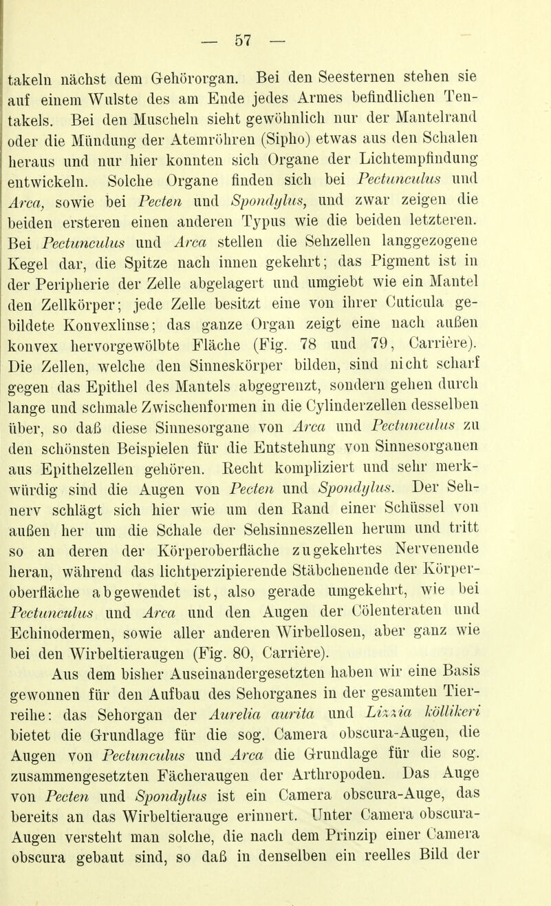 takeln nächst dem Gehörorgan. Bei den Seesternen stehen sie auf einem Wulste des am Ende jedes Armes befindlichen Ten- takels. Bei den Muscheln sieht gewöhnlich nur der Mantelrand oder die Mündung der Atemröhren (Sipho) etwas aus den Schalen heraus und nur hier konnten sich Organe der Lichtempfindung entwickeln. Solche Organe finden sich bei Pectimmlus und Area, sowie bei Pecten und Spondylus, und zwar zeigen die beiden ersteren einen anderen Typus wie die beiden letzteren. Bei Pectunculus und Area stellen die Sehzellen langgezogene Kegel dar, die Spitze nach innen gekehrt; das Pigment ist in der Peripherie der Zelle abgelagert und umgiebt wie ein Mantel den Zellkörper; jede Zelle besitzt eine von ihrer Cuticula ge- bildete Konvexlinse; das ganze Organ zeigt eine nach außen konvex hervorgewölbte Fläche (Fig. 78 und 79, Carriere). Die Zellen, welche den Sinneskörper bilden, sind nicht scharf gegen das Epithel des Mantels abgegrenzt, sondern gehen durch lange und schmale Zwischenformen in die Cylinderzellen desselben über, so daß diese Sinnesorgane von Area und Pectunculus zu den schönsten Beispielen für die Entstehung von Sinnesorganen aus Epithelzellen gehören. Recht kompliziert und sehr merk- würdig sind die Augen von Pecten und Spondijlus. Der Seh- nerv schlägt sich hier wie um den Rand einer Schüssel von außen her um die Schale der Sehsinneszellen herum und tritt so an deren der Körperoberfläche zugekehrtes Nervenende heran, während das lichtperzipierende Stäbchenende der Körper- oberfläche abgewendet ist, also gerade umgekehrt, wie bei Pectunculus und Area und den Augen der Cölenteraten und Echinodermen, sowie aller anderen Wirbellosen, aber ganz wie bei den Wirbeltieraugen (Fig. 80, Carriere). Aus dem bisher Auseinandergesetzten haben wir eine Basis gewonnen für den Aufbau des Sehorganes in der gesamten Tier- reihe: das Sehorgan der Aurelia aurita und Lizxia köllikeri bietet die Grundlage für die sog. Camera obscura-Augen, die Augen von Pectunculus und Area die Grundlage für die sog. zusammengesetzten Fächeraugen der Arthropoden. Das Auge von Pecten und Spondijlus ist ein Camera obscura-Auge, das bereits an das Wirbeltierauge erinnert. Unter Camera obscura- Augen versteht man solche, die nach dem Prinzip einer Camera obscura gebaut sind, so daß in denselben ein reelles Bild der