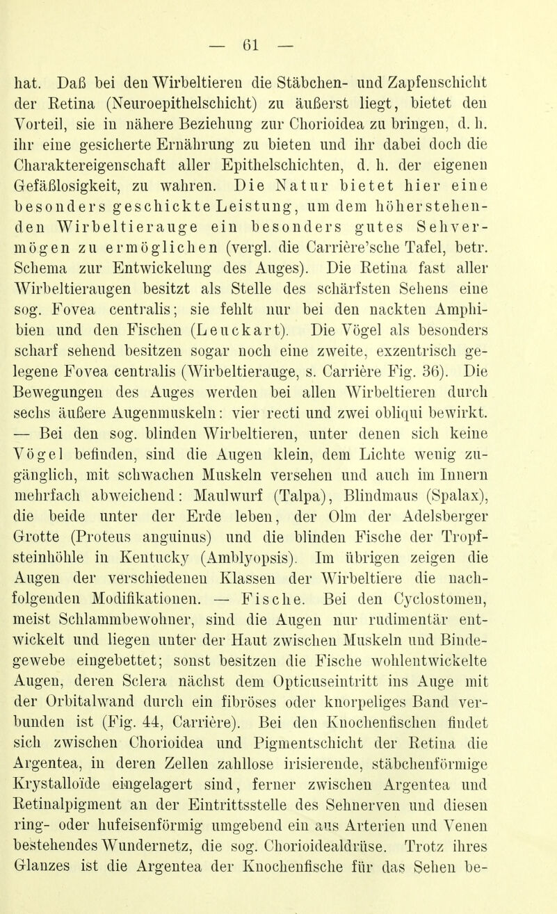 hat. Daß bei deu Wirbeltieren die Stäbchen- und Zapfenschicht der Retina (Neiiroepithelschicht) zu äußerst liegt, bietet den Vorteil, sie in nähere Beziehung zur Chorioidea zu bringen, d. h. ihr eine gesicherte Ernährung zu bieten und ihr dabei doch die Charaktereigenschaft aller Epithelschichten, d. h. der eigenen Gefäßlosigkeit, zu wahren. Die Natur bietet hier eine besonders geschickte Leistung, um dem höherstehen- den Wirbeltierauge ein besonders gutes Sehver- mögen zu ermöglichen (vergl. die Carriere'sche Tafel, betr. Schema zur Entwickelung des Auges). Die Retina fast aller Wirbeltieraugen besitzt als Stelle des schärfsten Sehens eine sog. Fovea centralis; sie fehlt nur bei den nackten Amphi- bien und den Fischen (Leuckart). Die Vögel als besonders scharf sehend besitzen sogar noch eine zweite, exzentrisch ge- legene Fovea centralis (Wirbeltierauge, s. Carriere Fig. 36). Die Bewegungen des Auges werden bei allen Wirbeltieren durch sechs äußere Augenmuskeln: vier recti und zwei obliqui bewirkt. — Bei den sog. blinden Wirbeltieren, unter denen sich keine Vögel befinden, sind die Augen klein, dem Lichte wenig zu- gänglich, mit schwachen Muskeln versehen und auch im Innern mehrfach abweichend: Maulwurf (Talpa), Blindmaus (Spalax), die beide unter der Erde leben, der Olm der Adelsberger Grotte (Proteus anguinus) und die blinden Fische der Tropf- steinhöhle in Kentucky (Amblyopsis). Im übrigen zeigen die Augen der verschiedenen Klassen der Wirbeltiere die nach- folgenden Modifikationen. — Fische. Bei den Cyclostomeu, meist Schlammbewohner, sind die Augen nur rudimentär ent- wickelt und liegen unter der Haut zwischen Muskeln und Binde- gewebe eingebettet; sonst besitzen die Fische wohlentwickelte Augen, deren Sclera nächst dem Opticuseintritt ins Auge mit der Orbitalwand durch ein fibröses oder knorpeliges Band ver- bunden ist (Fig. 44, Carriere). Bei den Knochenfischen findet sich zwischen Chorioidea und Pigmentschicht der Retina die Argentea, in deren Zellen zahllose irisierende, stäbchenförmige Krystalloide eingelagert sind, ferner zwischen Argentea und Retinalpigment an der Eintrittsstelle des Sehnerven und diesen ring- oder hufeisenförmig umgebend ein aiis Arterien und Venen bestehendes Wundernetz, die sog. Chorioidealdrüse. Trotz ihres Glanzes ist die Argentea der Knochenfische für das Sehen be-