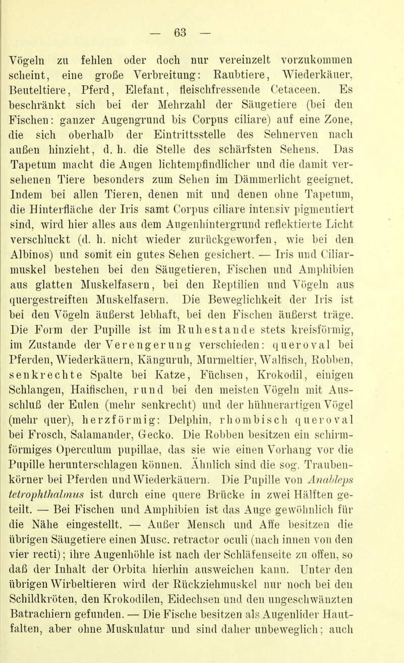 Vögeln zu fehlen oder doch nur vereinzelt vorzukommen scheint, eine große Verbreitung: Raubtiere, Wiederkäuer, Beuteltiere, Pferd, Elefant, fleischfressende Cetaceen. Es beschränkt sich bei der Mehrzahl der Säugetiere (bei den Fischen: ganzer Augengrund bis Corpus ciliare) auf eine Zone, die sich oberhalb der Eintrittsstelle des Sehnerven nach außen hinzieht, d. h. die Stelle des schärfsten Sehens. Das Tapetum macht die Augen lichtempfindlicher und die damit ver- sehenen Tiere besonders zum Sehen im Dämmerlicht geeignet. Indem bei allen Tieren, denen mit und denen ohne Tapetum, die Hinterfläche der Iris samt Corpus ciliare intensiv pigmentiert sind, wird hier alles aus dem Augenhintergrund reflektierte Licht verschluckt (d. h. nicht wieder zurückgeworfen, wie bei den Albinos) und somit ein gutes Sehen gesichert. — Iris und Ciliar- muskel bestehen bei den Säugetieren, Fischen und Amphibien aus glatten Muskelfasern, bei den Reptilien und Vögeln aus quergestreiften Muskelfasern. Die Beweglichkeit der Iiis ist bei den Vögeln äußerst lebhaft, bei den Fischen äußerst träge. Die Form der Pupille ist im Ruhestande stets kreisförmig, im Zustande der Verengerung verschieden: q u e r o v a 1 bei Pferden, Wiederkäuern, Känguruh, Murmeltier, Walfisch, Robben, senkrechte Spalte bei Katze, Füchsen, Krokodil, einigen Schlangen, Haifischen, rund bei den meisten Vögeln mit Aus- schluß der Eulen (mehr senkrecht) und der hühnerartigen Vögel (mehr quer), herzförmig: Delphin, rhombisch quer oval bei Frosch, Salamander, Gecko. Die Robben besitzen ein schirm- förmiges Operculum pupillae, das sie wie einen Vorhang vor die Pupille herunterschlagen können. Ähnlich sind die sog. Trauben- körner bei Pferden und Wiederkäuern. Die Pupille von Änableps tetrophthalmus ist durch eine quere Brücke in zwei Hälften ge- teilt. — Bei Fischen und Amphibien ist das Auge gewöhnlich für die Nähe eingestellt. — Außer Mensch und Affe besitzen die übrigen Säugetiere einen Muse, retractor oculi (nach innen von den vier recti); ihre Augenhöhle ist nach der Schläfenseite zu offen, so daß der Inhalt der Orbita hierhin ausweichen kann. Unter den übrigen Wirbeltieren wird der Rückziehmuskel nur noch bei den Schildkröten, den Krokodilen, Eidechsen und den ungeschwänzten Batrachiern gefunden. — Die Fische besitzen als Augenlider Haut- falten, aber ohne Muskulatur und sind daher unbeweglich: auch