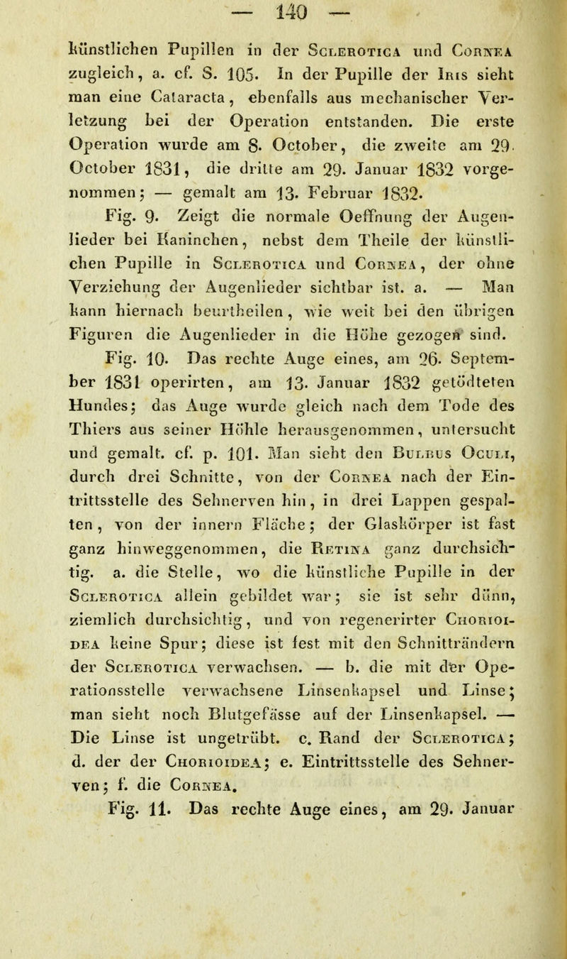künstlichen Pupillen in der Sglerotiga und ConivKA ziigleicli, a. cf. S. 105- In der Pupille der Iris sieht man eine Cataracta, ebenfalls aus mechanischer Yer- letzung bei der Operation entstanden. Die erste Operation wurde am 8- October, die zweite am 29 October 1831, die dritte am 29- Januar 1832 vorge- nommen 5 — gemalt am 13. Februar 1832. Fig. 9. Zeigt die normale Oeffnung der Augen- lieder bei Kaninchen, nebst dem Theile der lüinslii- chen Pupille in Sclerotica und Cornea , der ohne Yerziehung der Augenlieder sichtbar ist. a. — Man hann hiernach beurtheilen , wie weit bei den übrigen Figuren die Augenlieder in die Höhe gezogen sind. Fig. 10. Bas rechte Auge eines, am 26. Septem- ber 1831 operirten, am 13. Januar 1832 getödteten Hundes5 das Auge wurde gleich nach dem Tode des Thiers aus seiner Hohle herausgenommen, untersucht und gemalt, cf. p. 101. Man sieht den Bulbus Ocui,i, durch drei Schnitte, von der Corkea nach der Ein- trittsstelle des Sehnerven hin, in drei Lappen gespal- ten, von der innern Flache; der Glashörper ist fast ganz hinweggenommen, die Retina ganz durchsich- tig, a. die Stelle, wo die hünslliche Pupille in der Sclerotica allein gebildet war; sie ist sehr dünn, ziemlich durchsichtig, und von regenerirter Chorioi- DEA heine Spur; diese ist fest mit den Schnittra'ndern der Sclerotica verwachsen. — b. die mit dier Ope- rationsstelle verwachsene Linsenkapsel und Linse ^ man sieht noch Blutgefässe auf der Linsenliapsel. — Die Linse ist ungetrübt, c. Rand der Sclerotica; d. der der Chorioidea; e. Eintrittsstelle des Sehner- ven; f. die Cornea, Fig. 11. Das rechte Auge eines, am 29« Januar