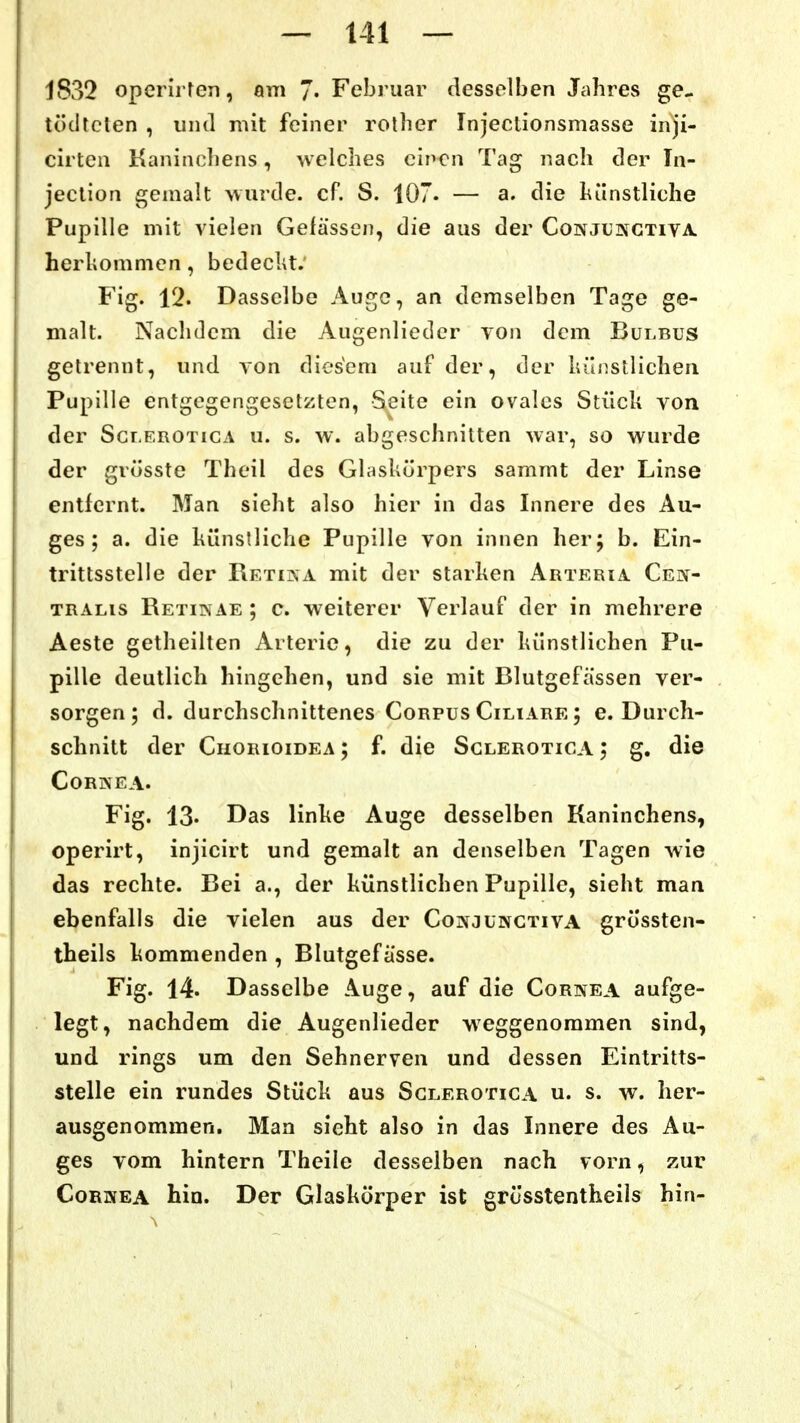 1832 opcrirfen, am 7« Februar desselben Jahres ge- tödtclen , und mit feiner rolber Injeclionsmasse inji- cirten Kanincliens, welches einen Tag nach der In- jeclion gemalt >vurde. cf. S. 107. — a. die hünstliche Pupille mit vielen Gefässen, die aus der Conjujngtiva. herliommen, bedeckt. Fig. 12. Dasselbe Auge, an demselben Tage ge- malt. Nachdem die Augenlieder Ton dem Büt.bus gelrennt, und von diesem auf der, der lu'uistlichen Pupille entgegengesetzten, Sfite ein ovales Stück von der ScT,EROTicA u. s. w. abgeschnitten war, so wurde der grösste Theil des Glaskörpers sammt der Linse entlernt. Man sieht also hier in das Innere des Au- ges; a. die künstliche Pupille von innen her; b. Ein- trittsstelle der Retiina mit der starken Arteria Cei^- TRALis Retin ae ; c. weiterer Verlauf der in mehrere Aeste getheilten Arterie, die zu der künstlichen Pu- pille deutlich hingehen, und sie mit Blutgefässen ver- sorgen; d. durchschnittenes Corpus Ciliare ; e. Durch- schnitt der CiiORioiDEA; f. die Sglerotica ; g. die Cornea. Fig. 13. Das linke Auge desselben Kaninchens, operirt, injicirt und gemalt an denselben Tagen wie das rechte. Bei a., der künstlichen Pupille, sieht man ebenfalls die vielen aus der Conjungtiva grossten- theils kommenden , Blutgefässe. Fig. 14. Dasselbe Auge, auf die Cornea aufge- legt, nachdem die Augenlieder weggenommen sind, und rings um den Sehnerven und dessen Eintritts- stelle ein rundes Stück aus Sglerotica u. s. w. her- ausgenommen. Man sieht also in das Innere des Au- ges vom hintern Theile desselben nach vorn, zur Cornea hin. Der Glaskörper ist grösstentheiis hin-