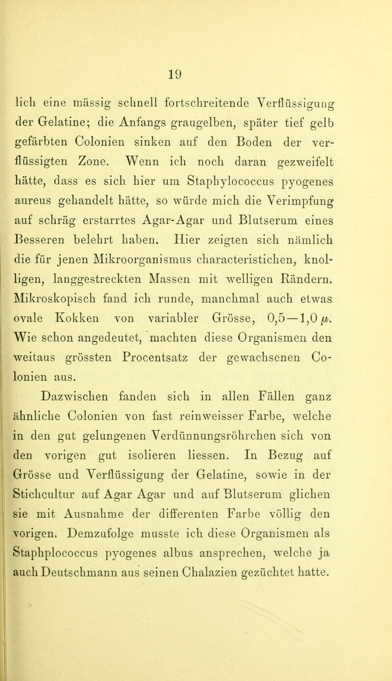 lieh eine massig schnell fortschreitende YerflüssiguDg der Gelatine; die Anfangs graugelben, später tief gelb gefärbten Colonien sinken auf den Boden der ver- flüssigten Zone. Wenn ich noch daran gezweifelt hätte, dass es sich hier um Staphylococcus pyogenes aureus gehandelt hätte, so würde mich die Verimpfung auf schräg erstarrtes Agar-Agar und Blutserum eines Besseren belehrt haben. Hier zeigten sich nämlich die für jenen Mikroorganismus characteristichen^ knol- ligen, langgestreckten Massen mit welligen Rändern. Mikroskopisch fand ich runde, manchmal auch etwas ovale Kokken von variabler Grösse, 0,5 —1,0 ^. Wie schon angedeutet, machten diese Organismen den weitaus grössten Procentsatz der gewachsenen Co- lonien aus. Dazwischen fanden sich in allen Fällen ganz ähnliche Colonien von fast rein weisser Farbe, welche in den gut gelungenen Verdünnungsröhrchen sich von den vorigen gut isolieren Hessen. In Bezug auf Grösse und Verflüssigung der Gelatine, sowie in der Stichcultur auf Agar Agar und auf Blutserum glichen sie mit Ausnahme der difPerenten Farbe völlig den vorigen. Demzufolge musste ich diese Organismen als Staphplococcus pyogenes albus ansprechen, welche ja auch Deutschmann aus seinen Chalazien gezüchtet hatte.