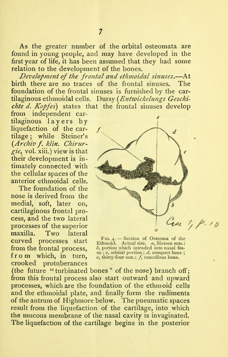 As the greater number of the orbital osteomata are found in young people, and may have developed in the first year of life, it has been assumed that they had some relation to the development of the bones. Developinetii of the frontal atid ethmoidal sinuses,—At birth there are no traces of the frontal sinuses. The foundation of the frontal sinuses is furnished by the car- tilaginous ethmoidal cells. Dursy [Entwickelungs Geschi- chte d. Kopfes) states that the frontal sinuses develop from independent car- tilaginous layers by liquefaction of the car- tilage ; while Steiner's {Archiv f. klin. Chirur- gie, vol. xiii.) view is that their development is in- timately connected with the cellular spaces of the anterior ethmoidal cells. The foundation of the nose is derived from the medial, soft, later on, cartilaginous frontal pro- cess, and the two lateral processes of the superior maxilla. Two lateral curved processes start from the frontal process, from which, in turn, crooked protuberances (the future  turbinated bones  of the nose) branch olf; from this frontal process also start outward and upward processes, which are the foundation of the ethmoid cells and the ethmoidal plate, and finally form the rudiments of the antrum of Highmore below. The pneumatic spaces result from the liquefaction of the cartilage, into which the mucous membrane of the nasal cavity is invaginated. The liquefaction of the cartilage begins in the posterior Fig. 4. — Section of Osteoma of the Ethmoid. Actual size, a. Sixteen mm.: portion which intruded into nasal fos- sa ; c, orbital portion ; compact bone ; e, thirty-four mm.; /, cancellous bone.