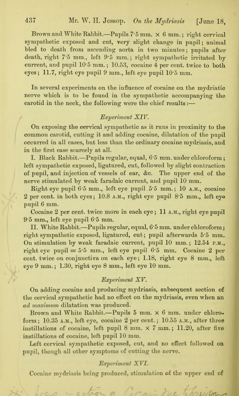 Brown and White Rabbit.—Pupils 7*5 mm. X 6 mm.; right cervical sympathetic exposed and cut, very slight change in pupil; animal bled to death from ascending aorta in two minutes; pupils after death, right 7'5 mm., left 9*5 mm.; right sympathetic irritated by current, and pupil 10'5 mm.; 10.53, cocaine 4 per cent, twice to both eyes; 11.7, right eye pupil 9 mm., left eye pupil 10*5 mm. In several experiments on the influence of cocaine on the mydriatic nerve which is to be found in the sympathetic accompanying the carotid in the neck, the following were the chief results:— / Experiment XIV. On exposing the cervical sympathetic as it runs in proximity to the common carotid, cutting it and adding cocaine, dilatation of the pupil occurred in all cases, but less than the ordinary cocaine mydriasis, and in the first case scarcely at all. I. Black Rabbit.—Pupils regular, equal, 6'5 mm. under chloroform; left sympathetic exposed, ligatured, cut, followed by slight contraction of pupil, and injection of vessels of ear, &c. The upper end of the nerve stimulated by weak faradaic current, and pupil 10 mm. Right eye pupil 6*5 mm., left eye pupil 5'5 mm.; 10 a.m., cocaine 2 per cent, in both eyes; 10.8 a.m., right eye pupil 8*5 mm., left eye pupil 6 mm. Cocaine 2 per cent, twice more in each eye ; 11 a.m., right eye pupil 9'5 mm., left eye pupil 65 mm. II. White Rabbit.—Pupils regular, equal, 6'5 mm. under chloroform; right sympathetic exposed, ligatured, cut; pupil afterwards 5*5 mm. On stimulation by weak faradaic current, pupil 10 mm.; 12.54 p.m., right eye pupil = 5'5 ram., left eye pupil 6'5 mm. Cocaine 2 per cent, twice on conjunctiva on each eye; 1.18, right eye 8 mm., left eye 9 mm.; 1.30, right eye 8 mm., left eye 10 mm. Experiment XV. On adding cocaine and producing mydriasis, subsequent section of the cervical sympathetic had no effect on the mydriasis, even when an ad maximum dilatation was produced. Brown and White Rabbit.—Pupils 5 mm. x 6 mm. under chloro- form ; 10.35 A.M., left eye, cocaine 2 per cent.; 10.55 a.m., after three instillations of cocaine, left pupil 8 mm. X 7 mm.; 11.20, after five instillations of cocaine, left pupil 10 mm. Left cervical sympathetic exposed, cut, and no effect followed on pupil, though all other symptoms of cutting the nerve. Experiment XVI. Cocaine mydriasis being produced, stimulation oi the upper end of