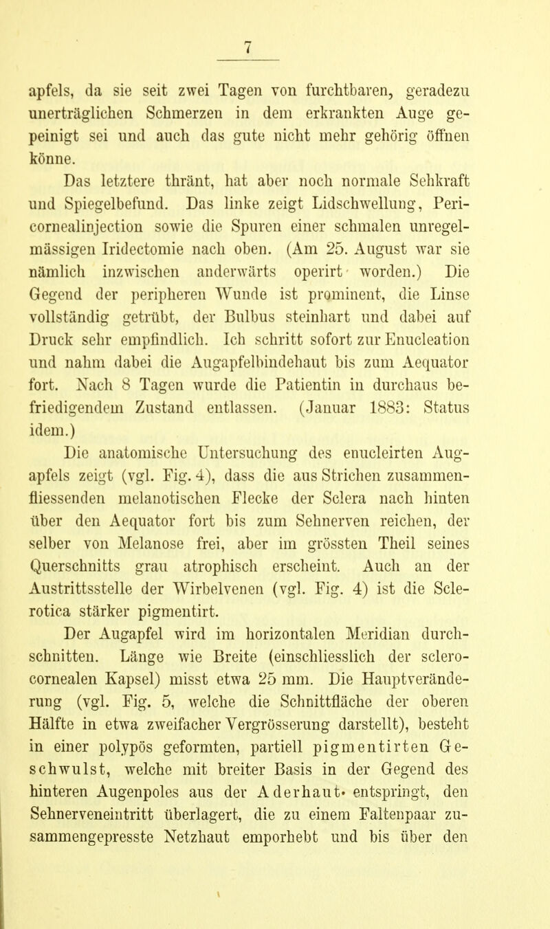 apfels, da sie seit zwei Tagen von furchtbaren, geradezu unerträglichen Schmerzen in dem erkrankten Auge ge- peinigt sei und auch das gute nicht mehr gehörig öffnen könne. Das letztere thränt, hat aber noch normale Sehkraft und Spiegelbefund. Das linke zeigt Lidschwellung, Peri- cornealinjection sowie die Spuren einer schmalen unregel- mässigen Iridectomie nach oben. (Am 25. August war sie nämlich inzwischen anderwärts operirt worden.) Die Gegend der peripheren Wunde ist prominent, die Linse vollständig getrübt, der Bulbus steinhart und dabei auf Druck sehr empfindlich. Ich schritt sofort zur Enucleation und nahm dabei die Augapfelbindehaut bis zum Aequator fort. Nach 8 Tagen wurde die Patientin in durchaus be- friedigendem Zustand entlassen. (Januar 1883: Status idem.) Die anatomische Untersuchung des enucleirten Aug- apfels zeigt (vgl. Fig. 4), dass die aus Strichen zusammen- fliessenden melauotischen Flecke der Sclera nach hinten über den Aequator fort bis zum Sehnerven reichen, der selber von Melanose frei, aber im grössten Theil seines Querschnitts grau atrophisch erscheint. Auch an der Austrittsstelle der Wirbelvenen (vgl. Fig. 4) ist die Scle- rotica stärker pigmentirt. Der Augapfel wird im horizontalen Meridian durch- schnitten. Länge wie Breite (einschliesslich der sclero- cornealen Kapsel) misst etwa 25 mm. Die Hauptverände- rung (vgl. Fig. 5, welche die Schnittfläche der oberen Hälfte in etwa zweifacher Vergrösserung darstellt), besteht in einer polypös geformten, partiell pigmentirten Ge- schwulst, welche mit breiter Basis in der Gegend des hinteren Augenpoles aus der Aderhaut» entspringt, den Sehnerveneintritt überlagert, die zu einem Faltenpaar zu- sammengepresste Netzhaut emporhebt und bis über den