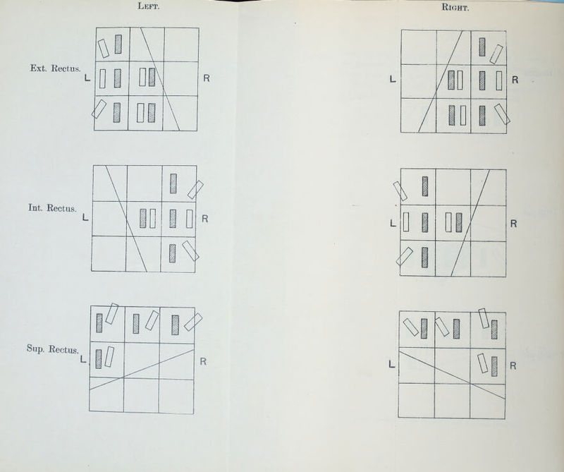 Ext. Eectus. Int. Rectus. Sup. Rectus.