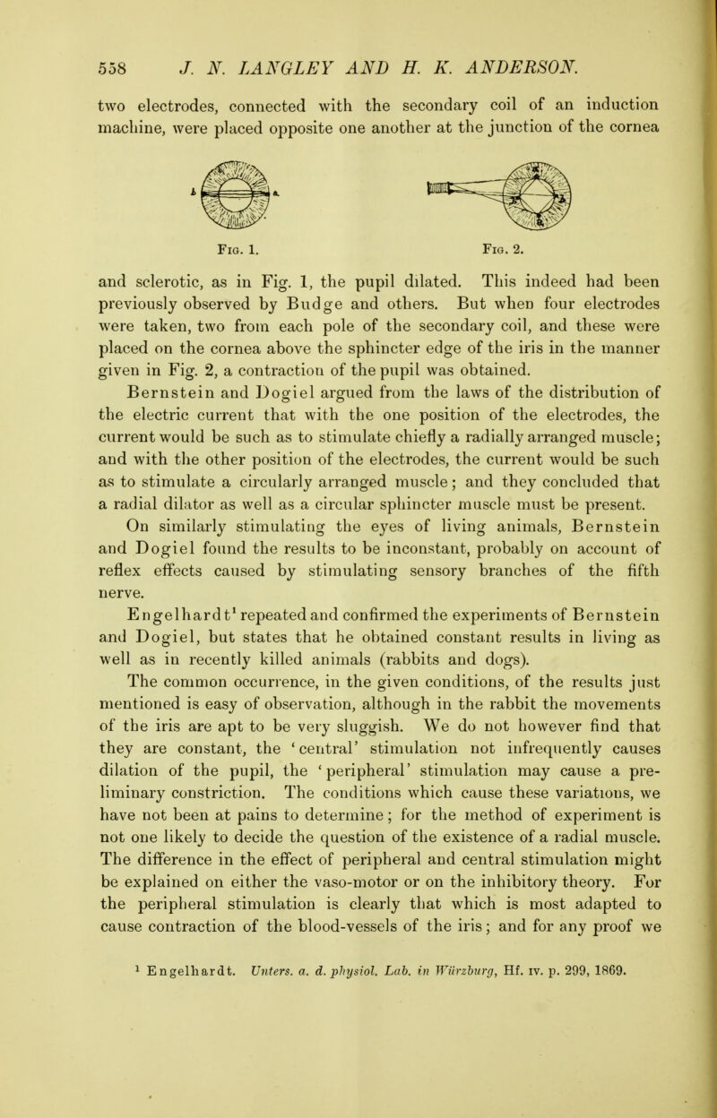 two electrodes, connected with the secondary coil of an induction machine, were placed opposite one another at the junction of the cornea Fig. 1. Fig. 2. and sclerotic, as in Fig. 1, the pupil dilated. This indeed had been previously observed by Budge and others. But when four electrodes were taken, two from each pole of the secondary coil, and these were placed on the cornea above the sphincter edge of the iris in the manner given in Fig. 2, a contraction of the pupil was obtained. Bernstein and Dogiel argued from the laws of the distribution of the electric current that with the one position of the electrodes, the current would be such as to stimulate chiefly a radially arranged muscle; and with the other position of the electrodes, the current would be such as to stimulate a circularly arranged muscle; and they concluded that a radial dilator as well as a circular sphincter muscle must be present. On similarly stimulating the eyes of living animals, Bernstein and Dogiel found the results to be inconstant, probably on account of reflex effects caused by stimulating sensory branches of the fifth nerve. Engelhard t* repeated and confirmed the experiments of Bernstein and Dogiel, but states that he obtained constant results in living as well as in recently killed animals (rabbits and dogs). The common occurrence, in the given conditions, of the results just mentioned is easy of observation, although in the rabbit the movements of the iris are apt to be very sluggish. We do not however find that they are constant, the ' central' stimulation not infrequently causes dilation of the pupil, the 'peripheral' stimulation may cause a pre- liminary constriction. The conditions which cause these variations, we have not been at pains to determine; for the method of experiment is not one likely to decide the question of the existence of a radial muscle. The difference in the effect of peripheral and central stimulation might be explained on either the vaso-motor or on the inhibitory theory. For the peripheral stimulation is clearly that which is most adapted to cause contraction of the blood-vessels of the iris; and for any proof we 1 Engelhardt. JJnters. a. d. physiol. Lab. in Wurzburg, Hf. iv. p. 299, 1869.