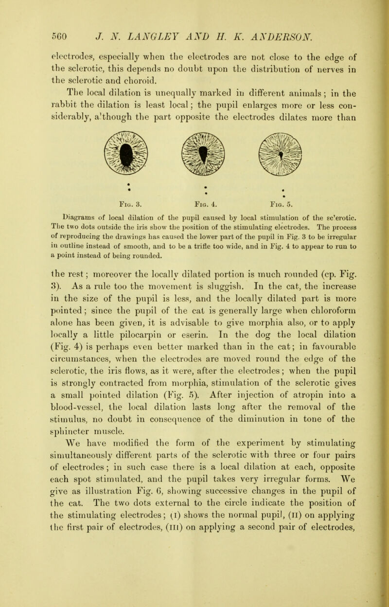 electrodes, especially when the electrodes are not close to the edge of the sclerotic, this depends no doubt npon the distribution of nerves in the sclerotic and choroid. The local dilation is unequally marked in different animals; in the rabbit the dilation is least local; the pupil enlarges more or less con- siderably, although the part opposite the electrodes dilates more than Fi«. 3. Fig. 4. Fig. 5. Diagrams of local dilation of the pupil caused by local stimulation of the sc'erotic. The two dots outside the iris show the jjosition of the stimulating electrodes. The process of reproducing the drawings has caused the lower part of the pupil in Fig. 3 to be irregular in outline instead of smooth, and to be a trifle too wide, and in Fig. 4 to appear to run to a point instead of being rounded. the rest; moreover the locally dilated portion is much rounded (cp. Fig. 3). As a rule too the movement is sluggish. In the cat, the increase in the size of the pupil is less, and the locally dilated part is more pointed ; since the pupil of the cat is generally large when chloroform alone has been given, it is advisable to give morphia also, or to apply locally a little pilocarpin or eserin. In the dog the local dilation (Fig, 4) is perhaps even better marked than in the cat; in favourable circumstances, when the electrodes are moved round the edge of the sclerotic, the iris flows, as it were, after the electrodes; when the pupil is strongly contracted from morphia, stimulation of the sclerotic gives a small pointed dilation (Fig. 5). After injection of atropin into a blood-vessel, the local dilation lasts long after the removal of the stimulus, no doubt in consequence of the diminution in tone of the sphincter muscle. We have modified the form of the experiment by stimulating simultaneously different parts of the sclerotic with three or four pairs of electrodes ; in such case there is a local dilation at each, opposite each spot stimulated, and the pupil takes very irregular forms. We give as illustration Fig. G, showing successive changes in the pupil of the cat. The two dots external to the circle indicate the position of the stimulating electrodes; (i) shows the normal pupil, (ii) on applying the first pair of electrodes, (ill) on applying a second pair of electrodes,