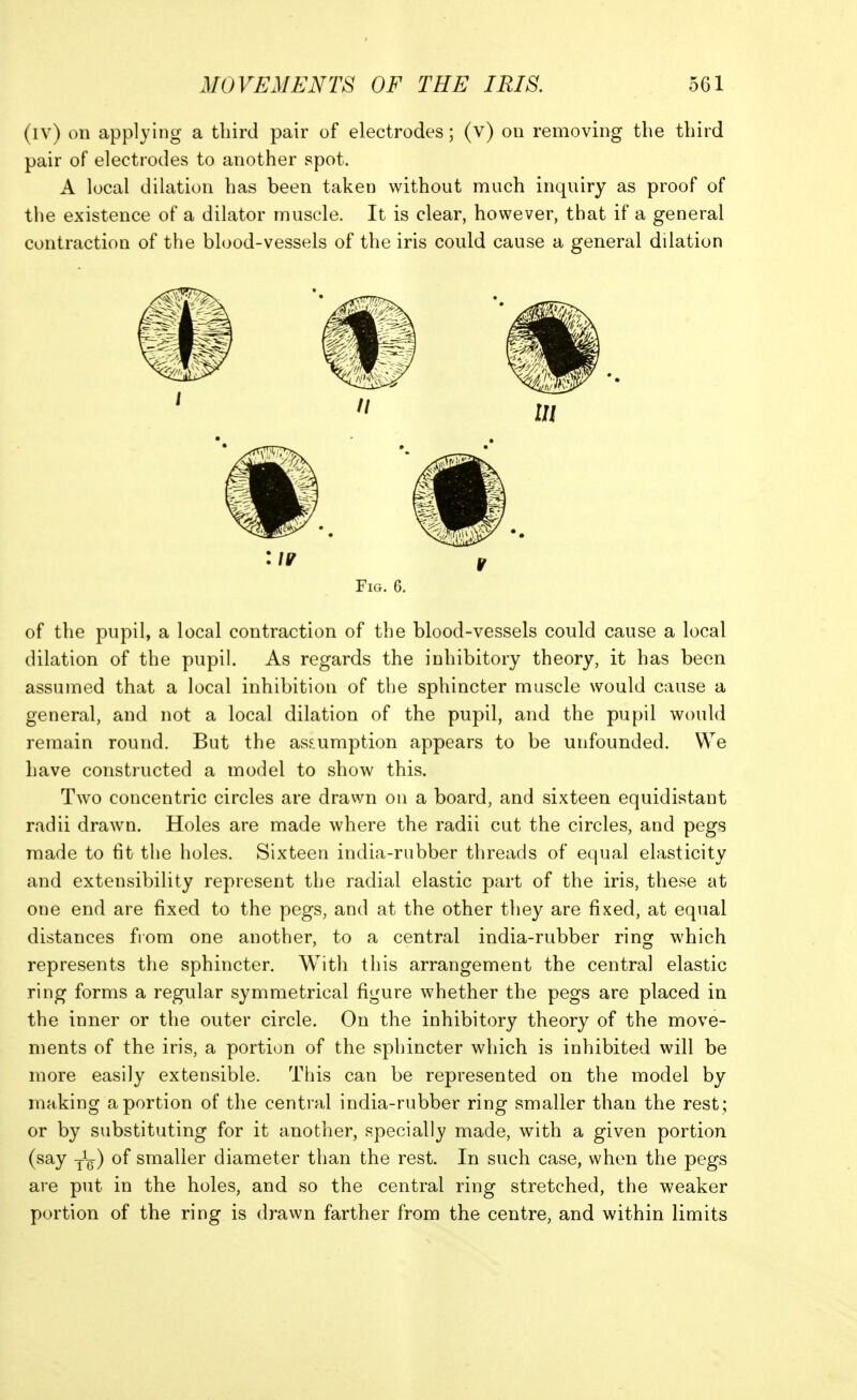 (iv) on applying a third pair of electrodes; (v) on removing the third pair of electrodes to another spot. A local dilation has been taken without much inquiry as proof of the existence of a dilator muscle. It is clear, however, that if a general contraction of the blood-vessels of the iris could cause a general dilation Fig. 6. of the pupil, a local contraction of the blood-vessels could cause a local dilation of the pupil. As regards the inhibitory theory, it has been assumed that a local inhibition of the sphincter muscle would cause a general, and not a local dilation of the pupil, and the pupil would remain round. But the assumption appears to be unfounded. We have constructed a model to show this. Two concentric circles are drawn on a board, and sixteen equidistant radii drawn. Holes are made where the radii cut the circles, and pegs made to fit the holes. Sixteen india-rubber threads of equal elasticity and extensibility represent the radial elastic part of the iris, these at one end are fixed to the pegs, and at the other they are fixed, at equal distances from one another, to a central india-rubber ring which represents the sphincter. With this arrangement the central elastic ring forms a regular symmetrical figure whether the pegs are placed in the inner or the outer circle. On the inhibitory theory of the move- ments of the iris, a portion of the sphincter which is inhibited will be more easily extensible. This can be represented on the model by making a portion of the central india-rubber ring smaller than the rest ; or by substituting for it another, specially made, with a given portion (say yL) of smaller diameter than the rest. In such case, when the pegs are put in the holes, and so the central ring stretched, the weaker portion of the ring is drawn farther from the centre, and within limits