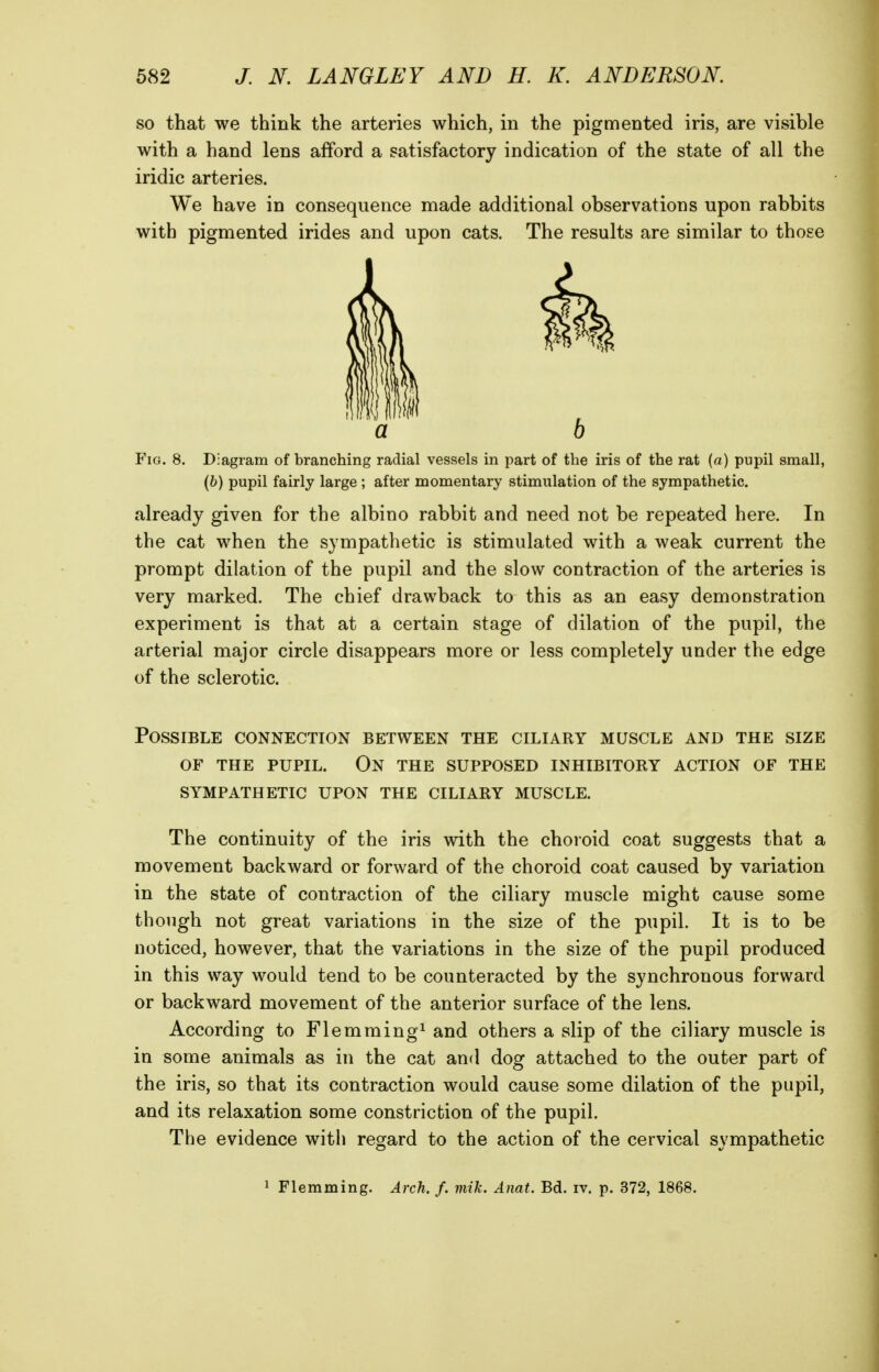 so that we think the arteries which, in the pigmented iris, are visible with a hand lens afford a satisfactory indication of the state of all the iridic arteries. We have in consequence made additional observations upon rabbits with pigmented irides and upon cats. The results are similar to those Fig. 8. Diagram of branching radial vessels in part of the iris of the rat (a) pupil small, (6) pupil fairly large ; after momentary stimulation of the sympathetic. already given for the albino rabbit and need not be repeated here. In the cat when the sympathetic is stimulated with a weak current the prompt dilation of the pupil and the slow contraction of the arteries is very marked. The chief drawback to this as an easy demonstration experiment is that at a certain stage of dilation of the pupil, the arterial major circle disappears more or less completely under the edge of the sclerotic. Possible connection between the ciliary muscle and the size OF THE pupil. On THE SUPPOSED INHIBITORY ACTION OF THE SYMPATHETIC UPON THE CILIARY MUSCLE. The continuity of the iris with the choroid coat suggests that a movement backward or forward of the choroid coat caused by variation in the state of contraction of the ciliary muscle might cause some though not great variations in the size of the pupil. It is to be noticed, however, that the variations in the size of the pupil produced in this way would tend to be counteracted by the synchronous forward or backward movement of the anterior surface of the lens. According to Flemming^ and others a slip of the ciliary muscle is in some animals as in the cat and dog attached to the outer part of the iris, so that its contraction would cause some dilation of the pupil, and its relaxation some constriction of the pupil. The evidence with regard to the action of the cervical sympathetic 1 Flemming. Arch. f. mik. Aiiat. Bd. iv. p. 372, 1868.